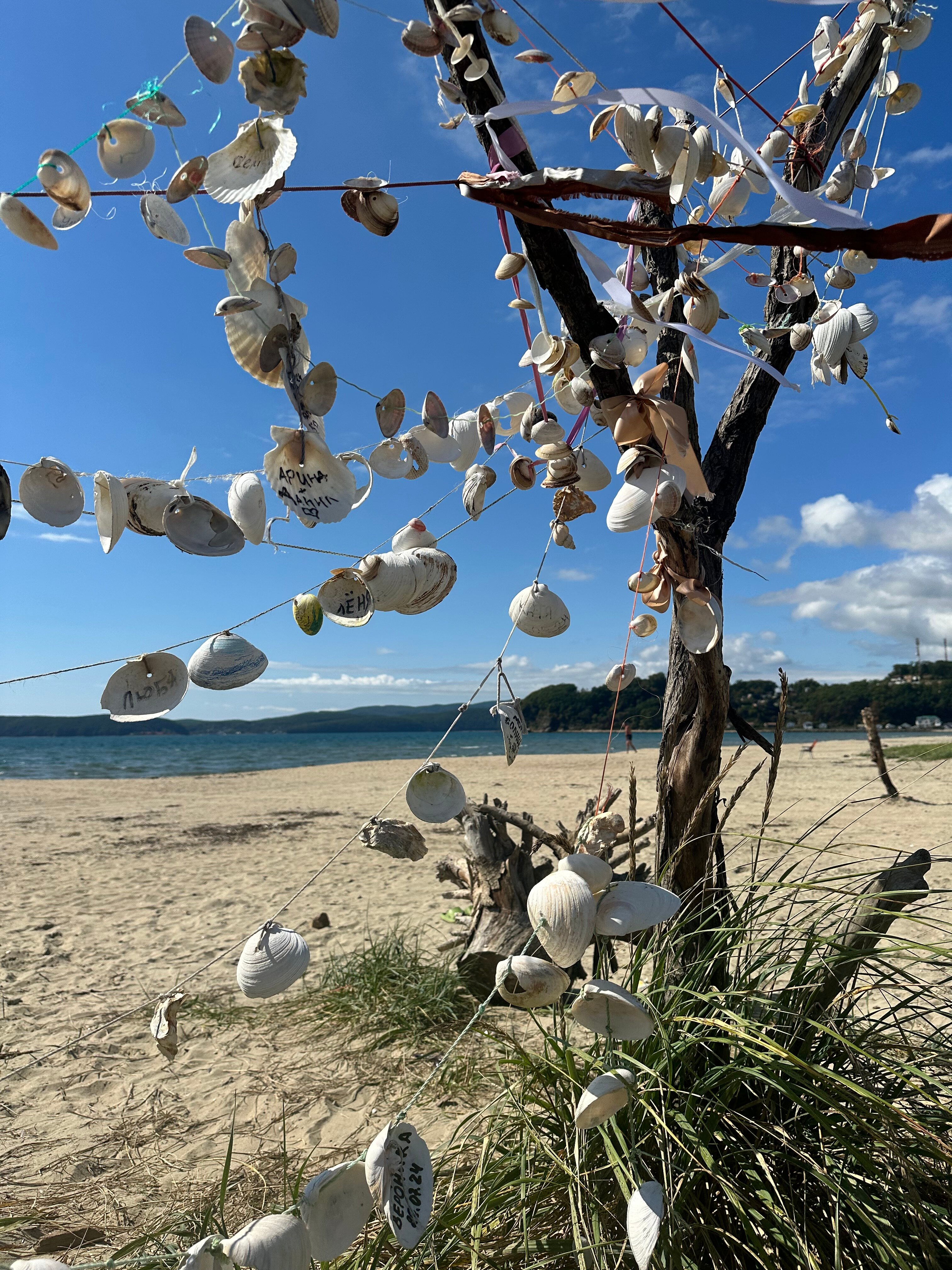 Фото Мелодия моря