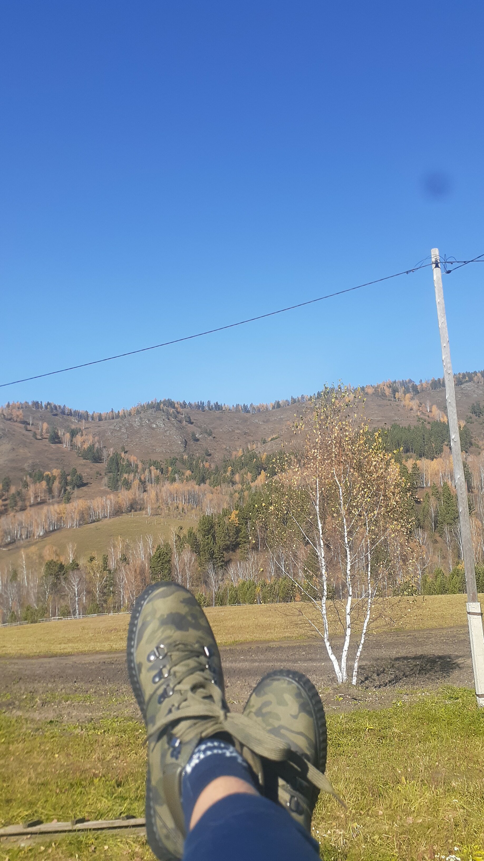 Фото Чайное гнёздышко