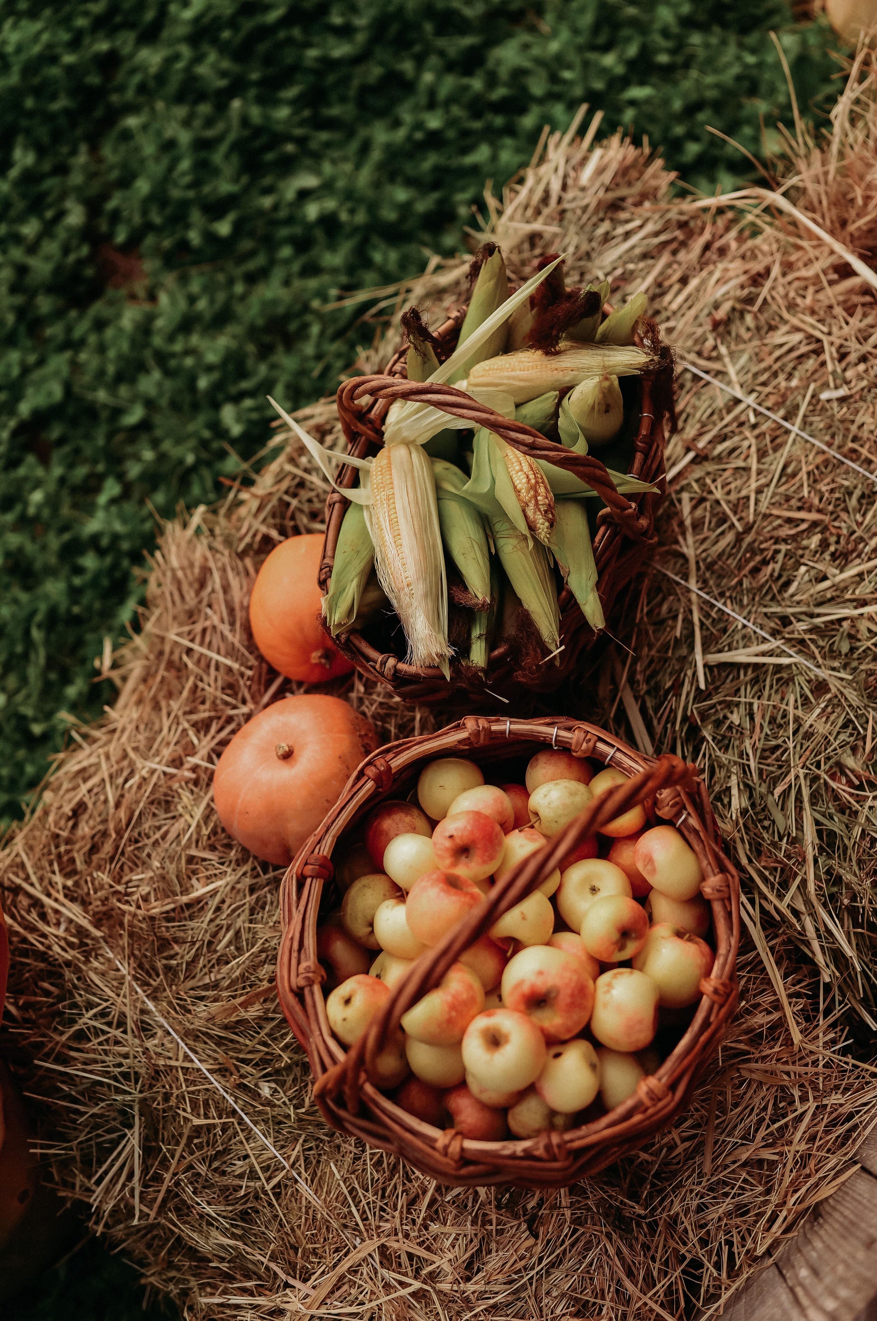 Фото Хозяин леса