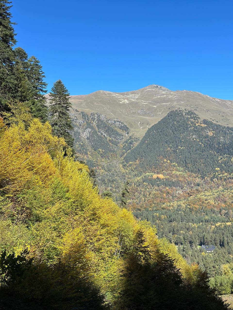 Фото Сказка Снежных Вершин