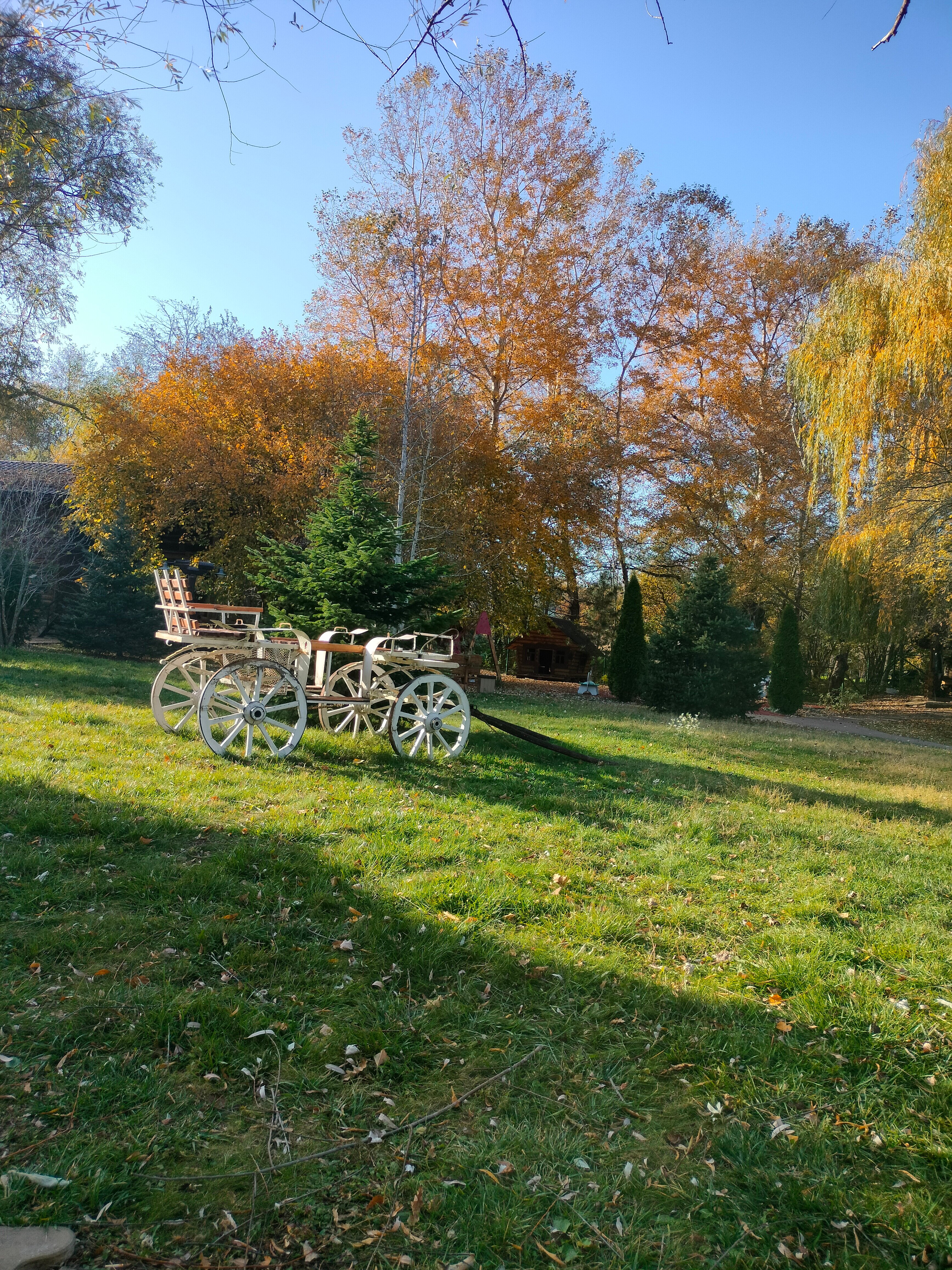 Фото Кура-цеце