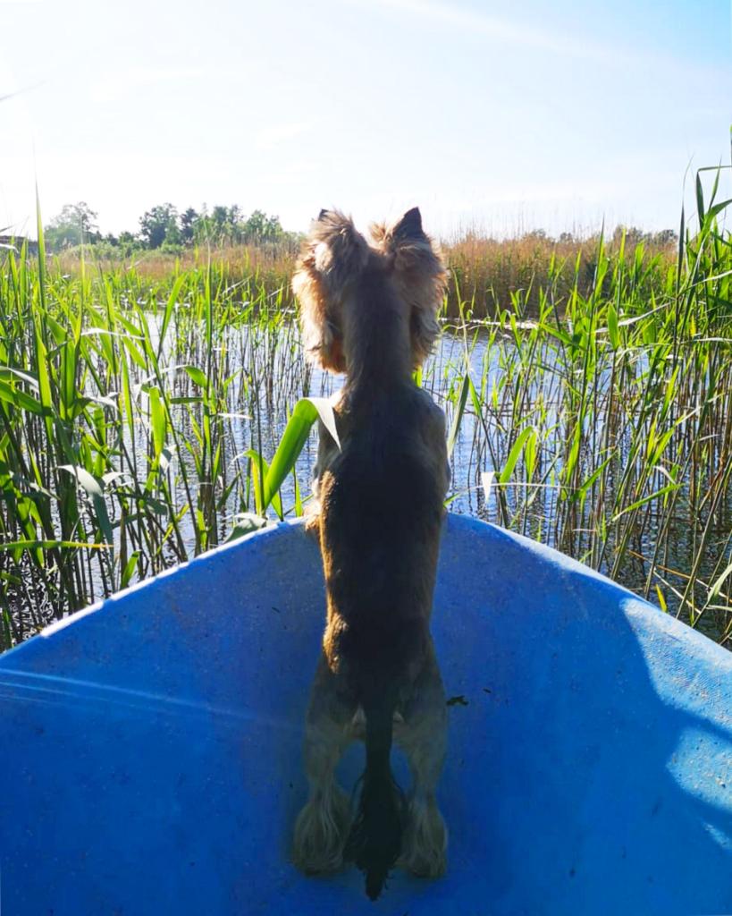 Фото Ладога