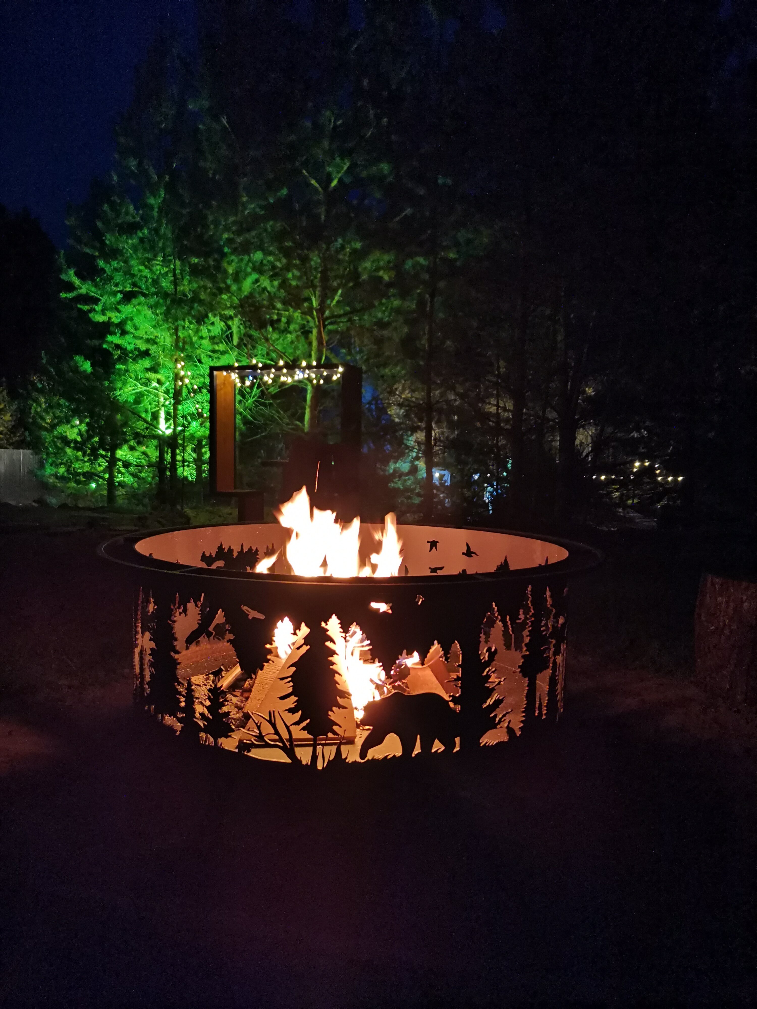 Фото А в лесу