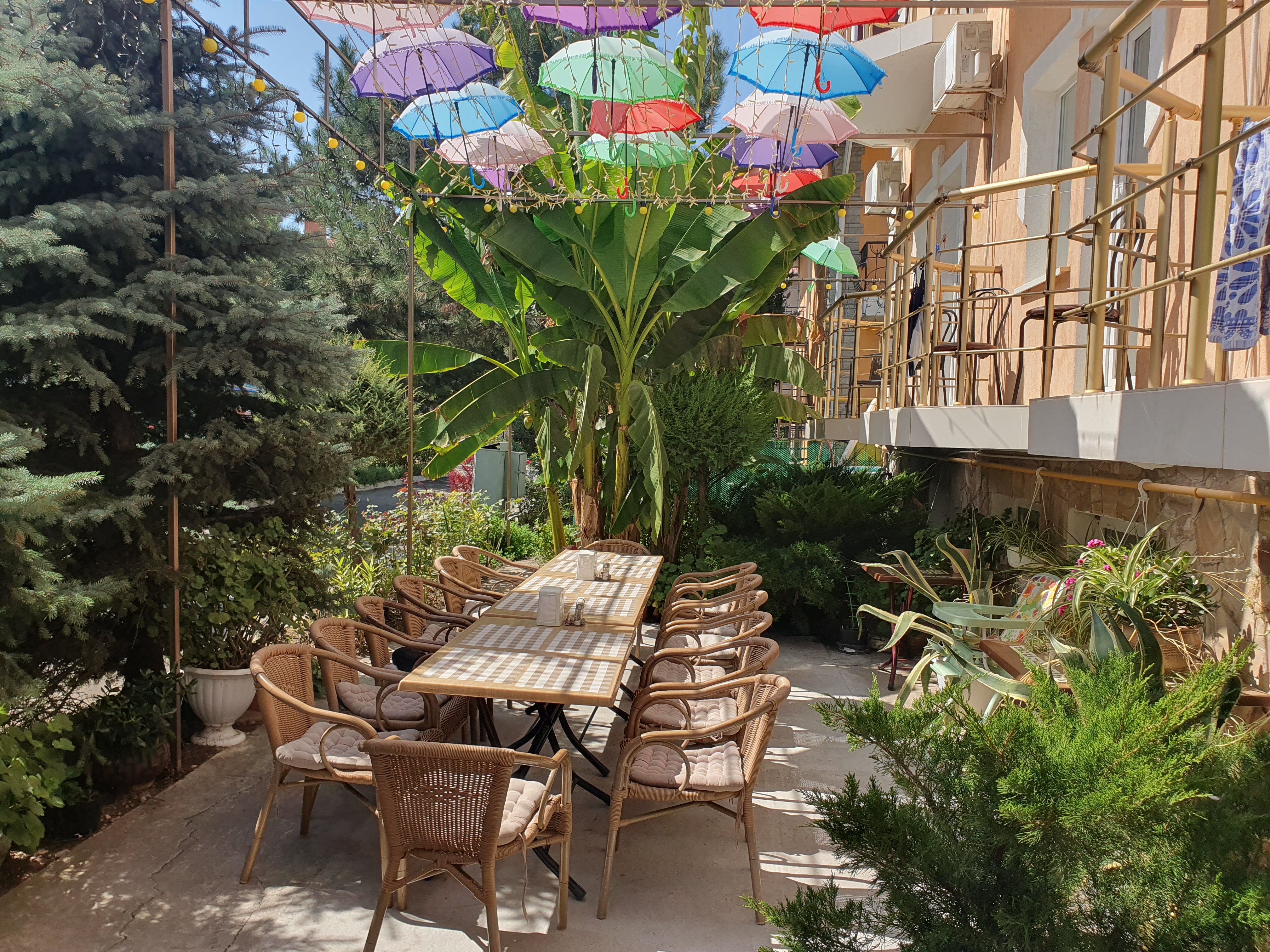 Фото Энигма