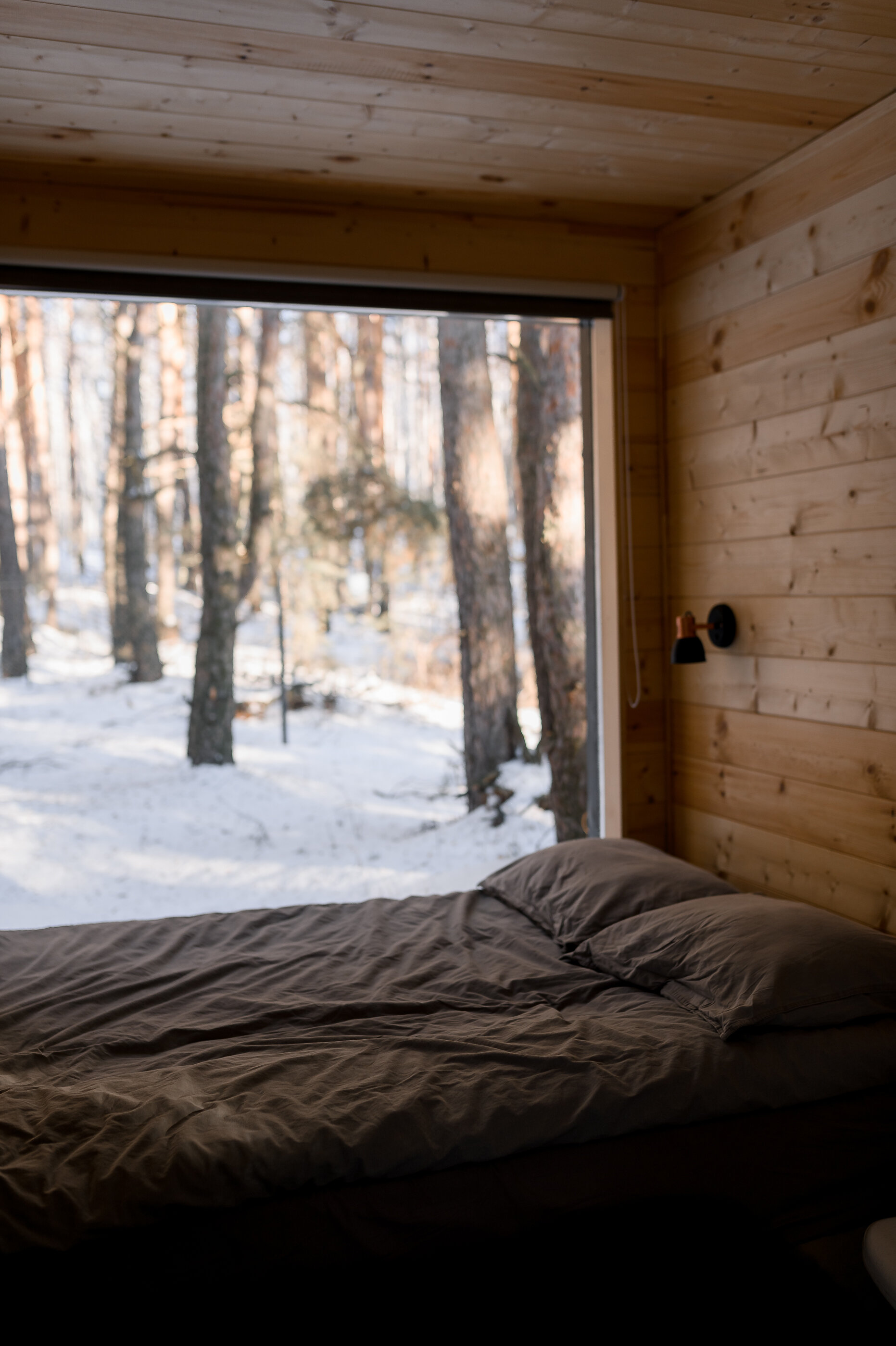 Фото Место под соснами