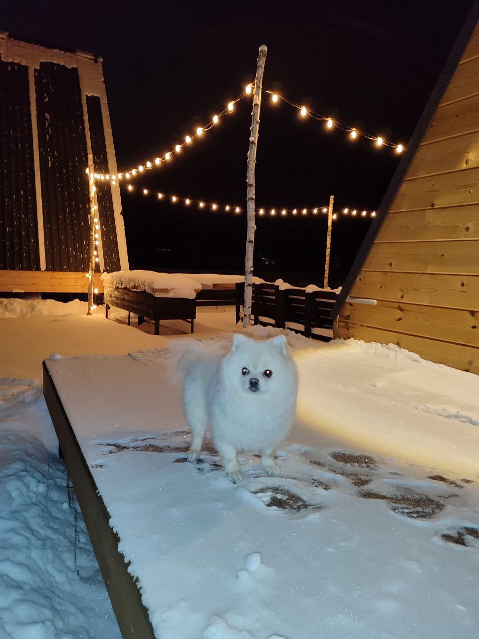 Фото Veksa frame