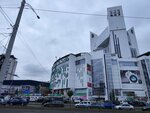 Linaria (strada Albișoara, 4) ، بيع البضائع الجافة بالجملة
