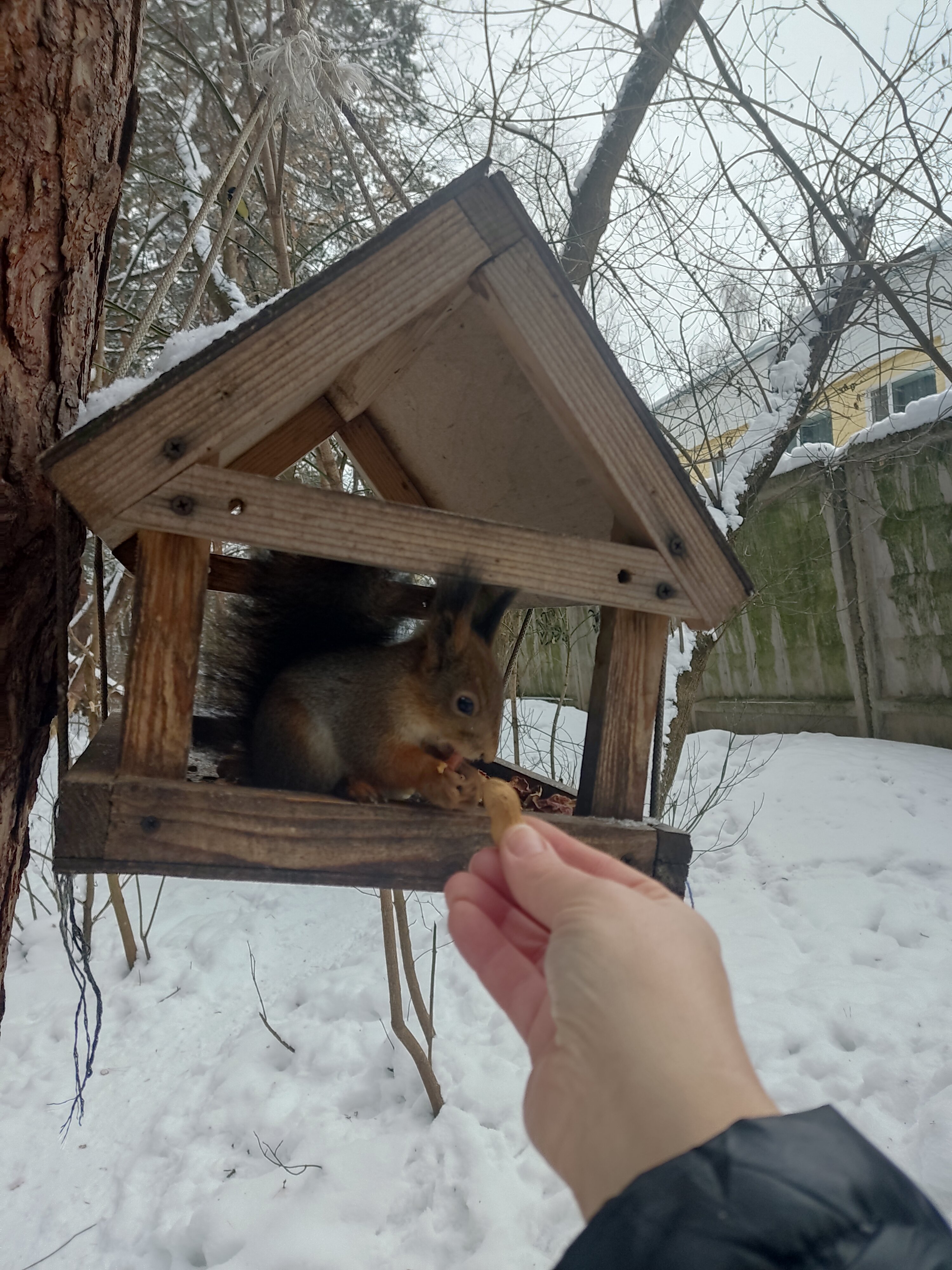 Фото Бобачёвская роща