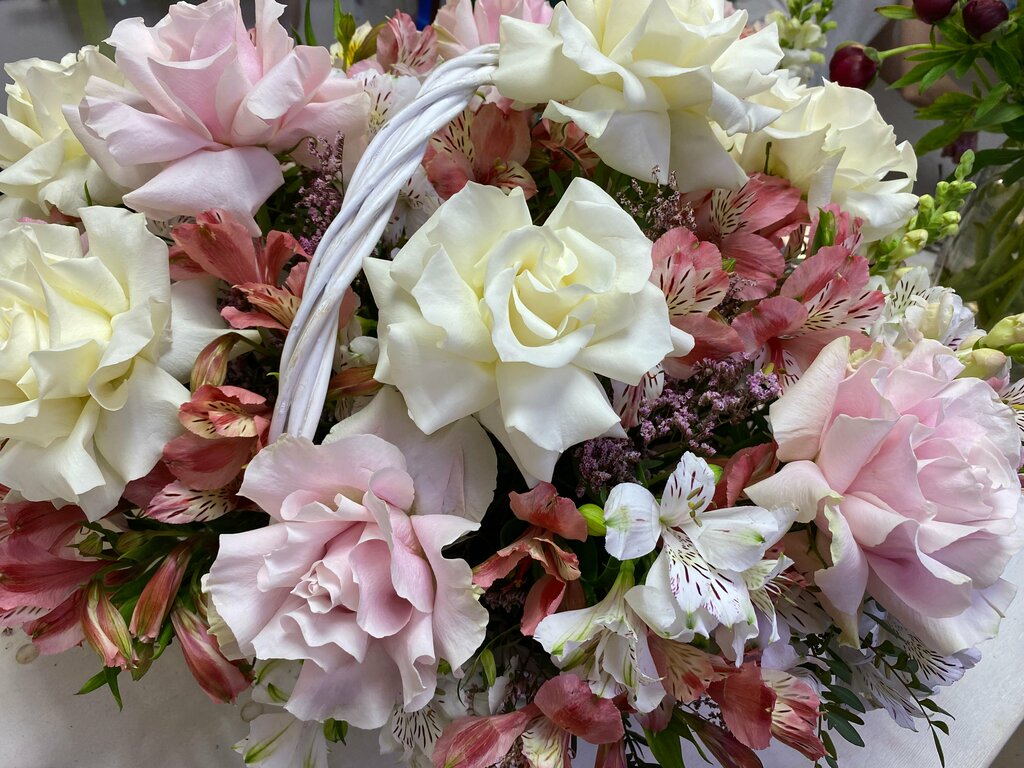 Полина Сухова