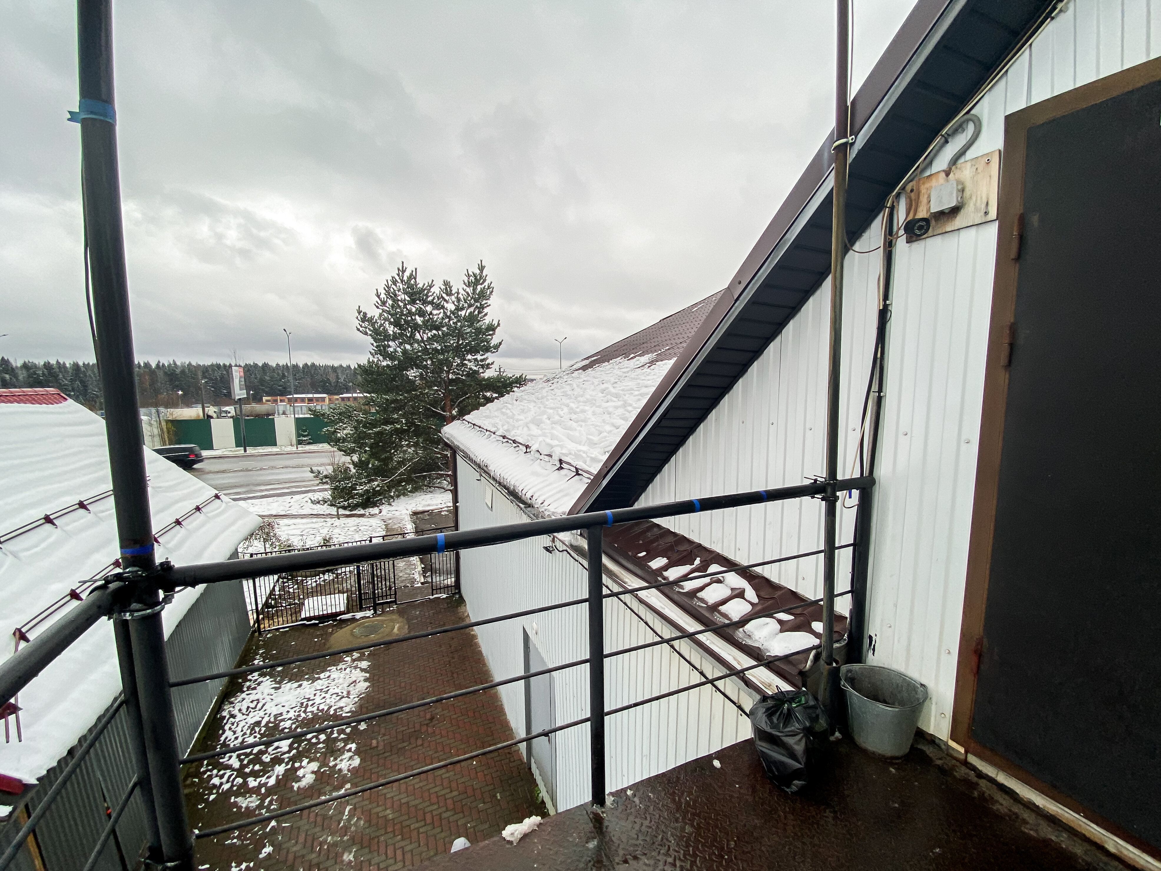 Фото Барашки