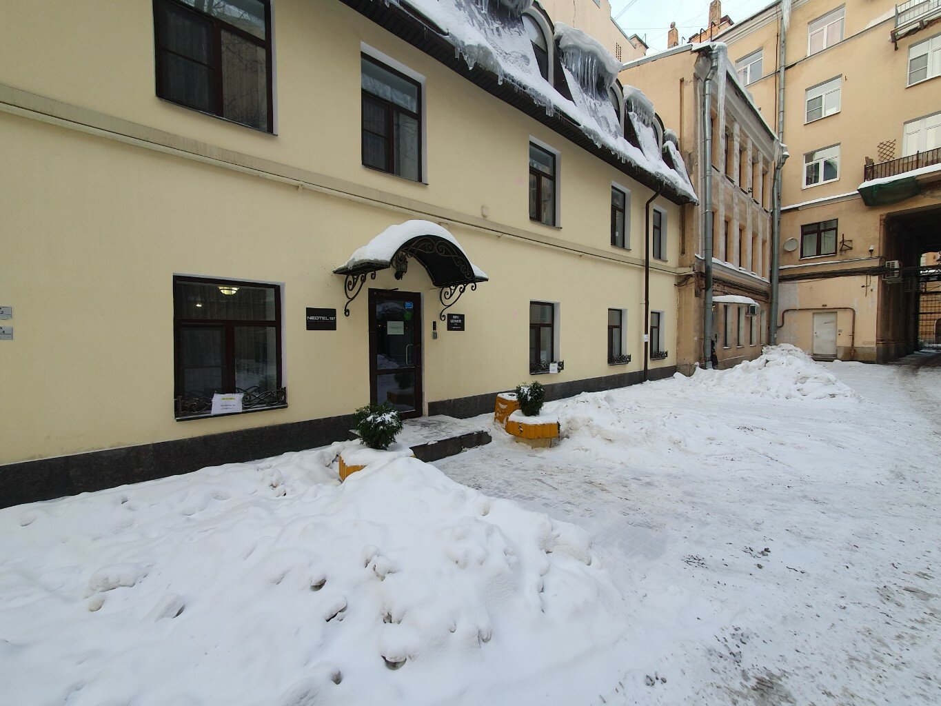 Фото Simple Эдельвейс