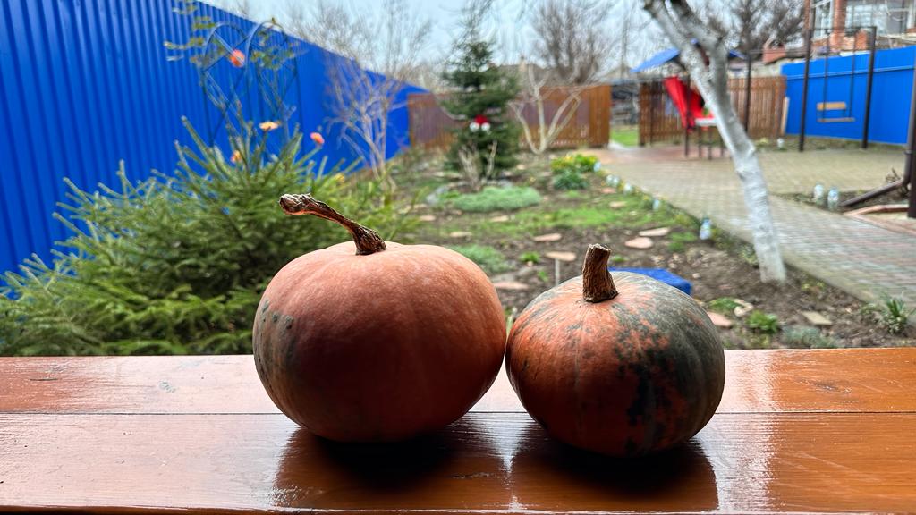 Фото Моника