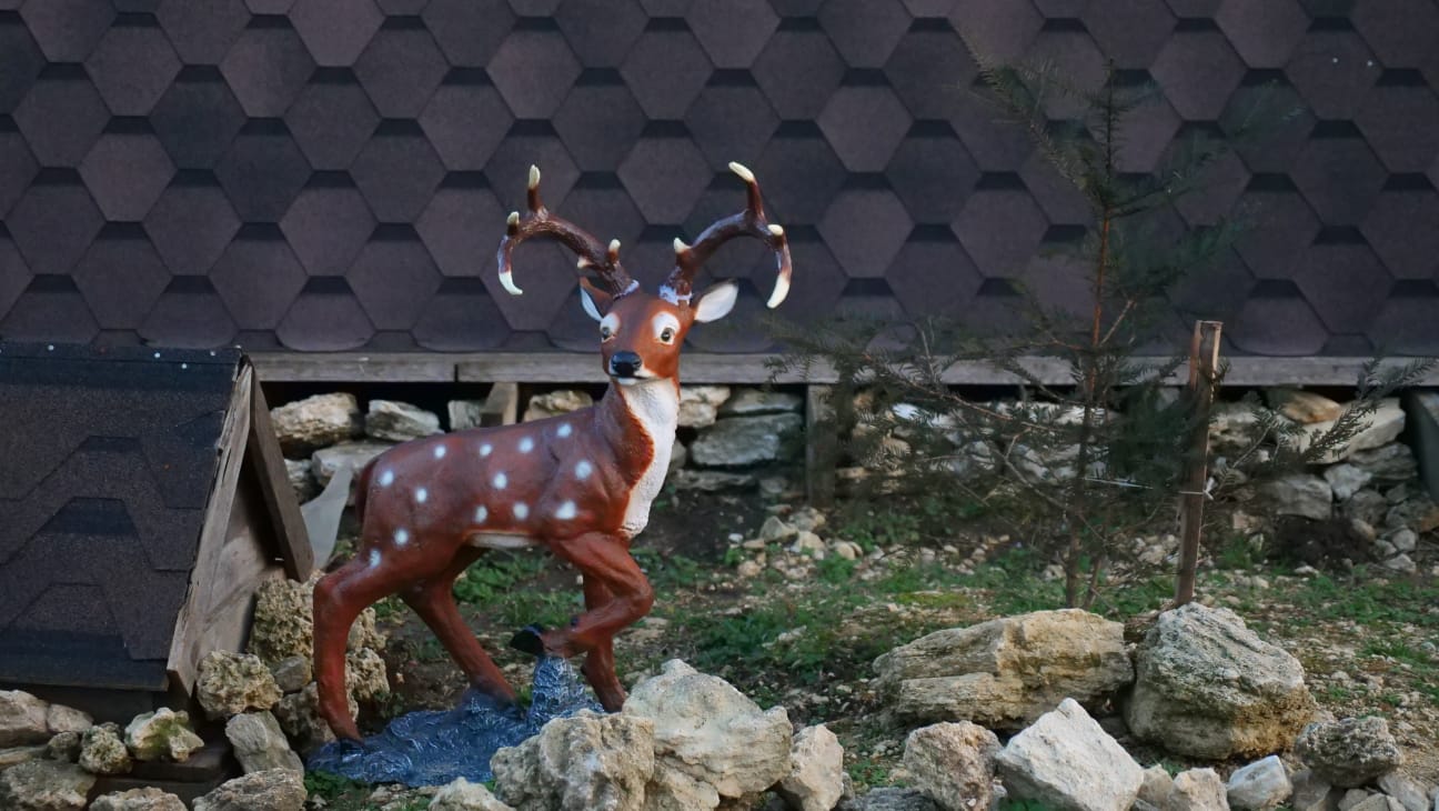 Фото Зеленогорье крепость Яръ