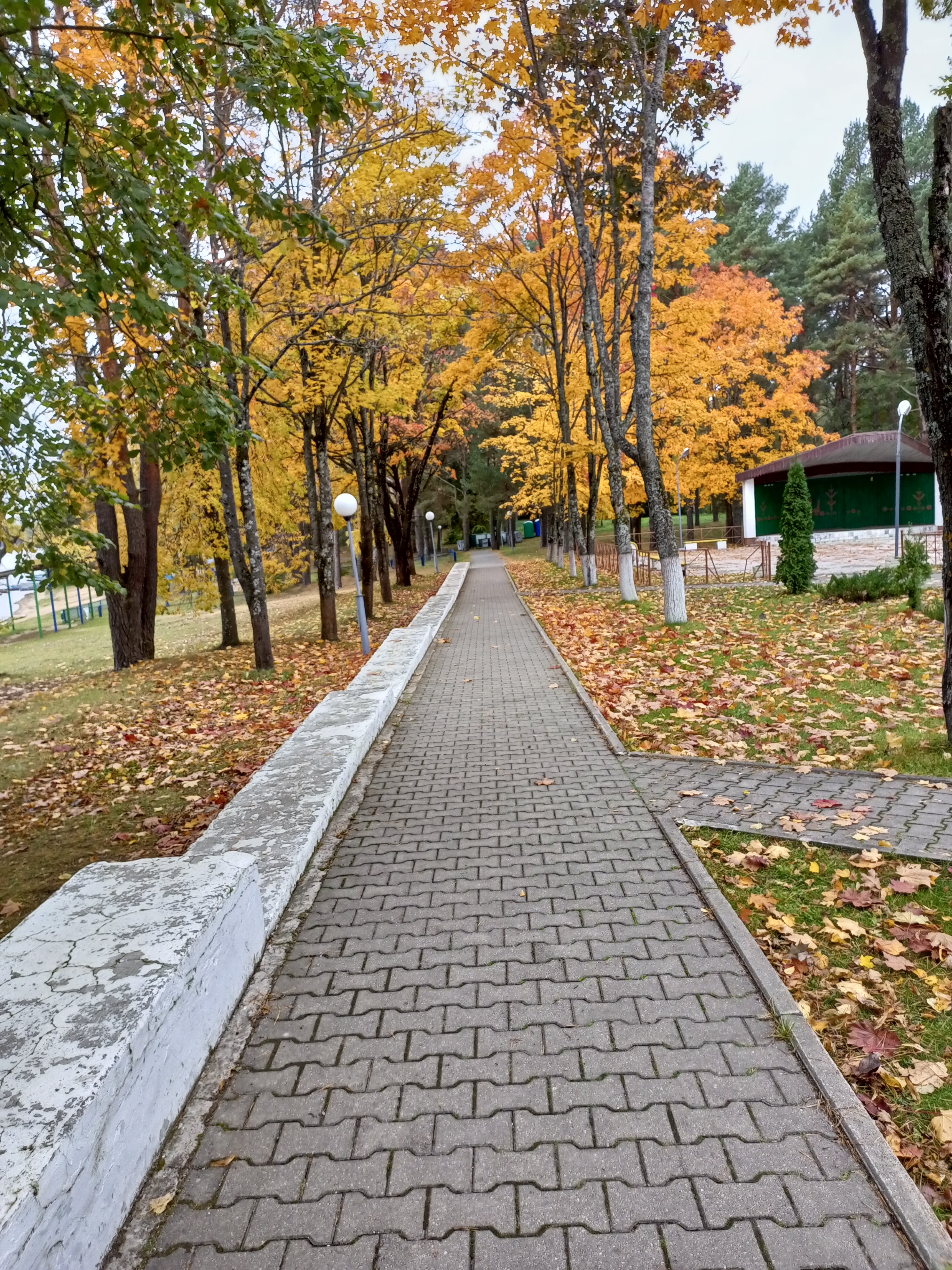 Фото Санаторий Нарочь, корпус Нарочь
