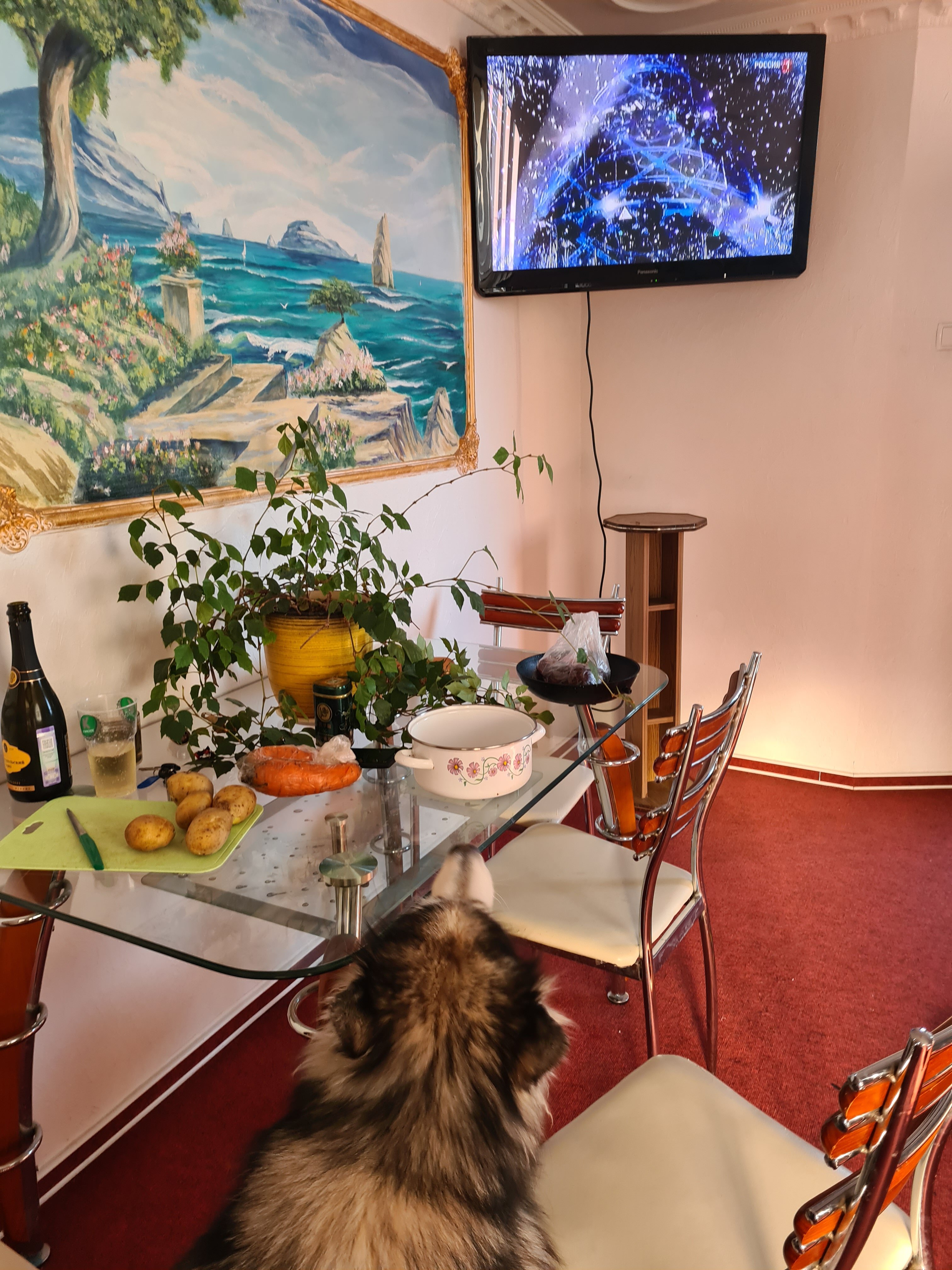 Фото Черноморский