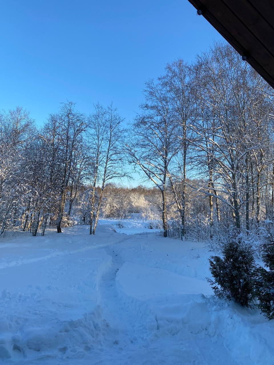 Фото Глэмпинг Шёпот Ладоги