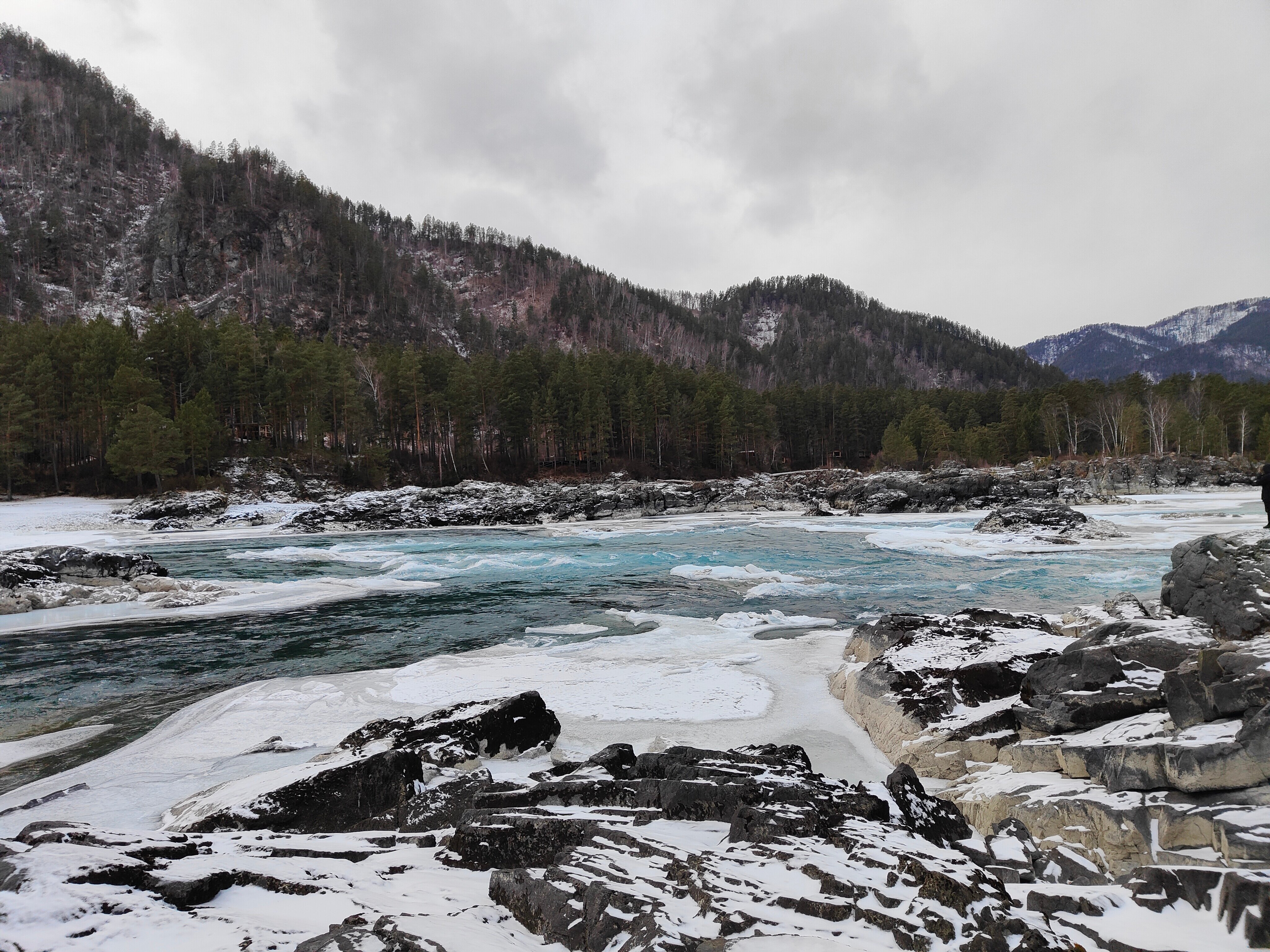 Фото Кедровый остров