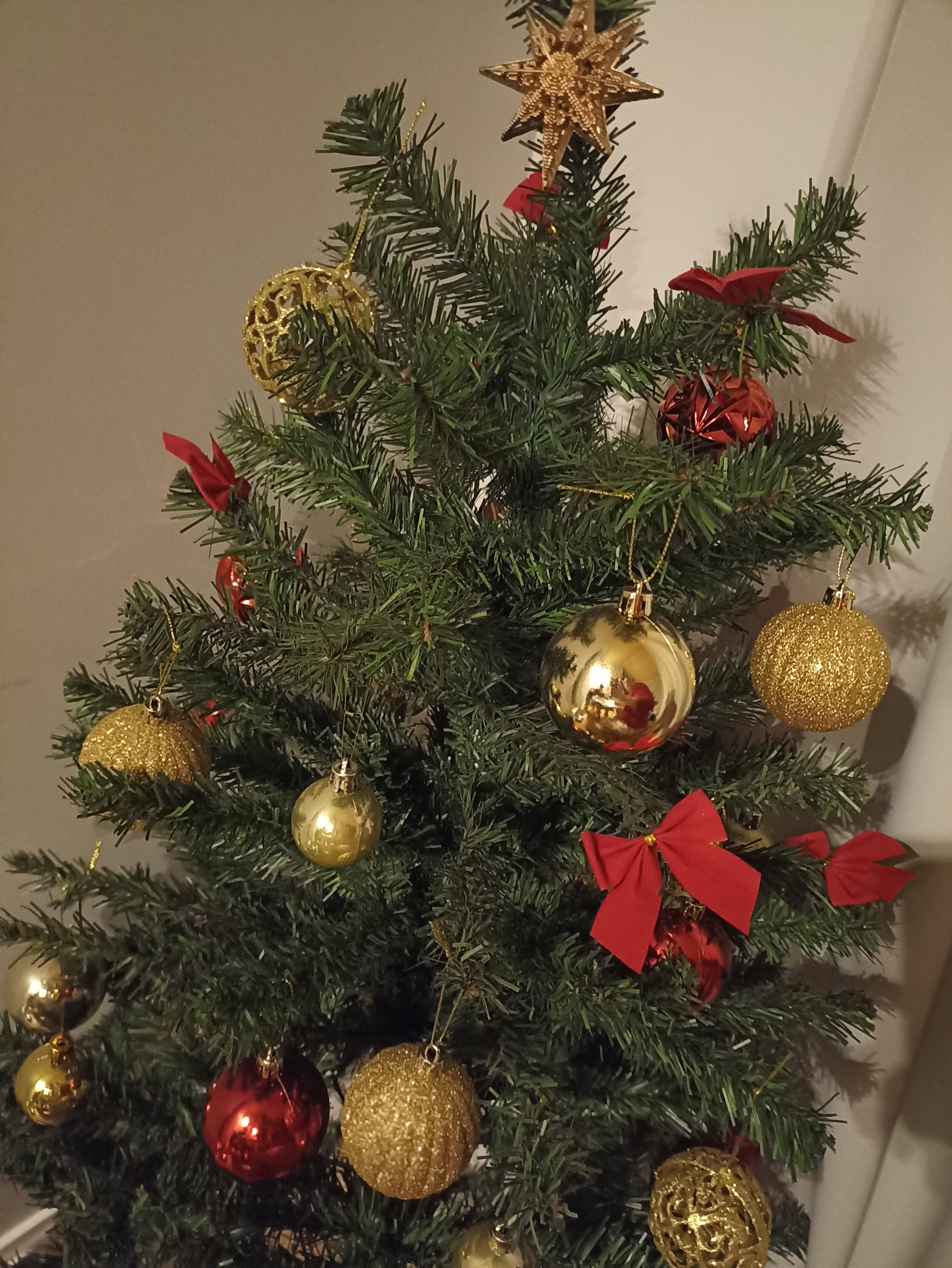 Фото Домики в поле