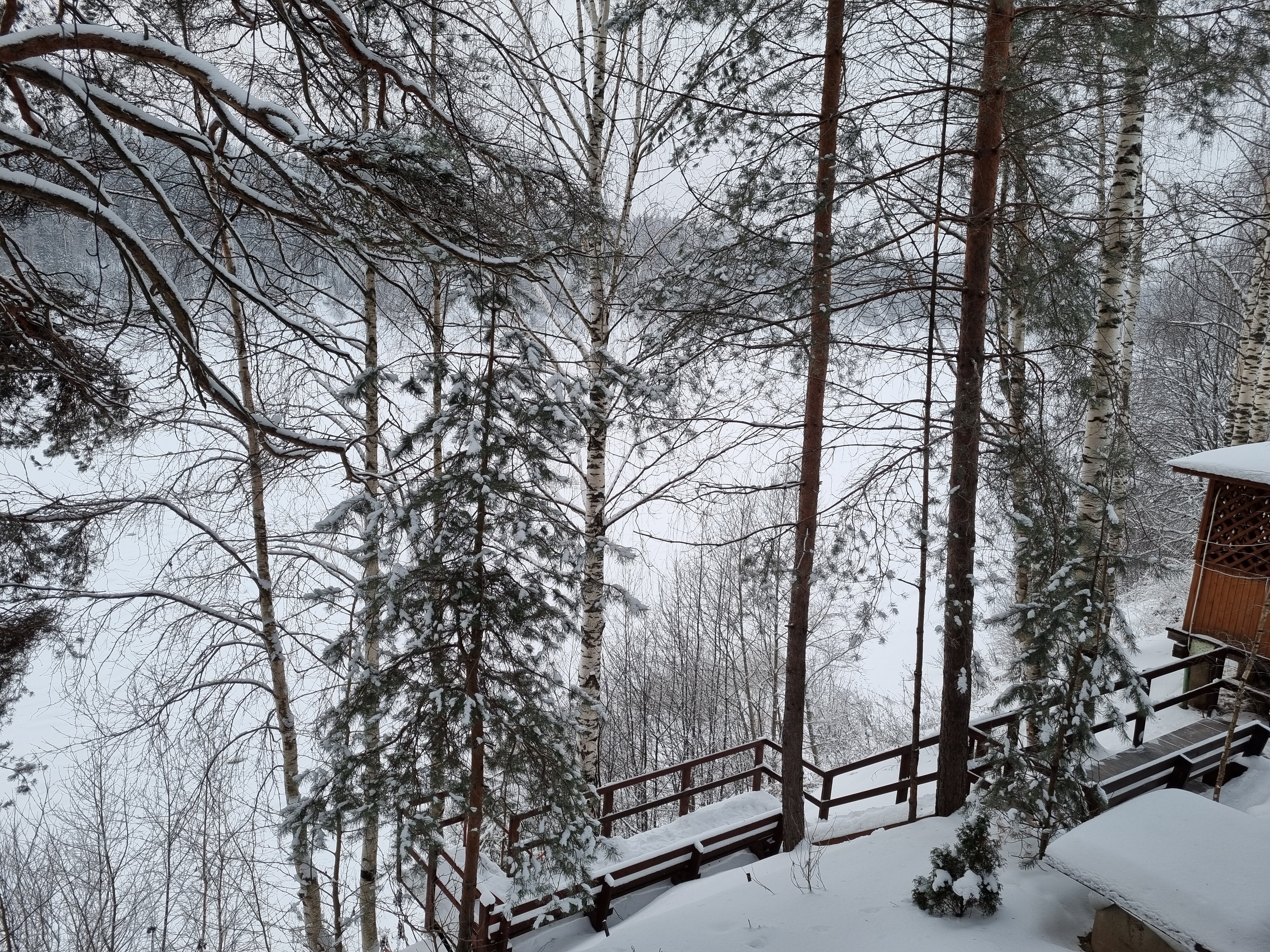 Фото Жемчужина Сухоны