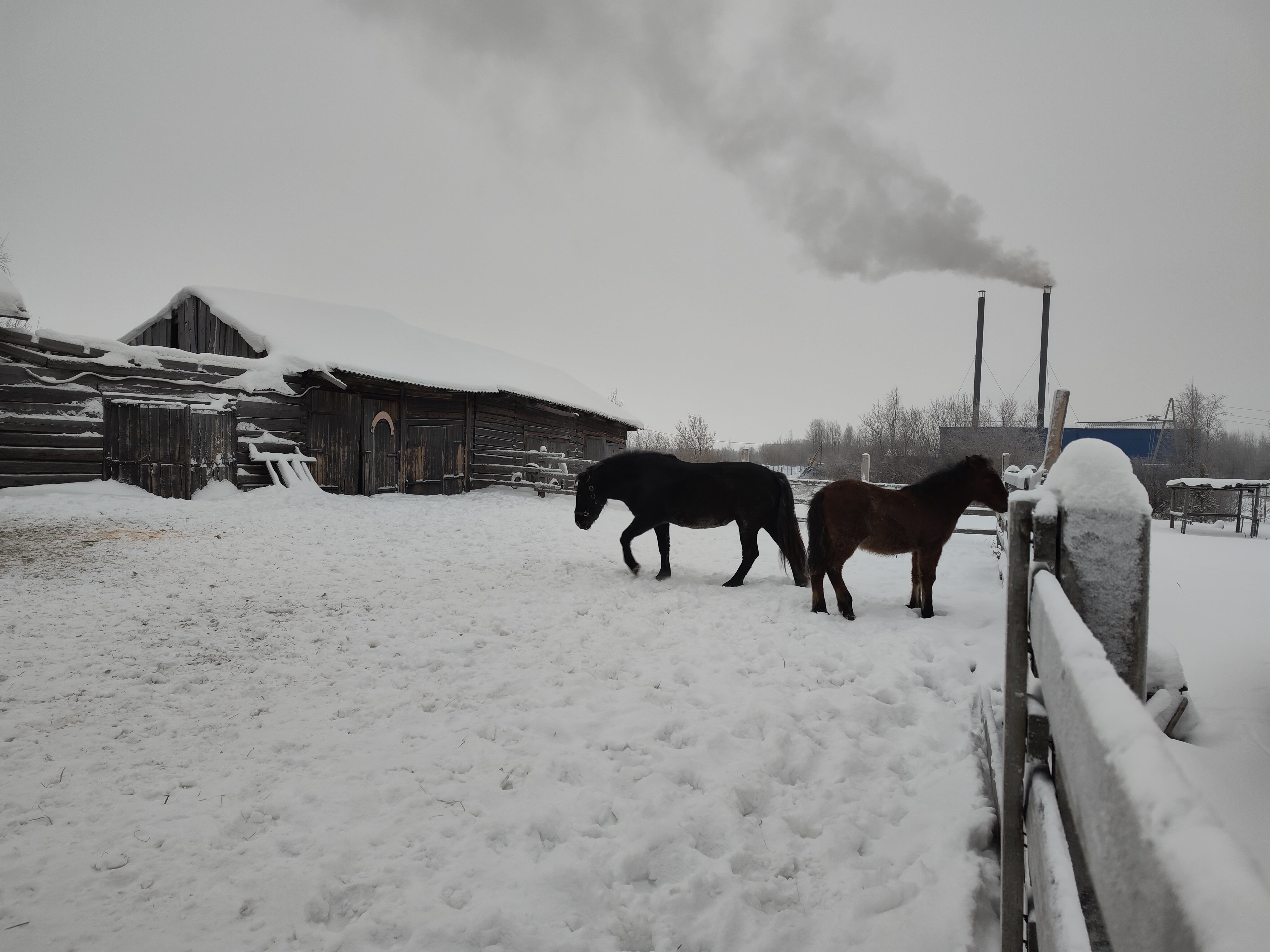 Фото Мезенский берег
