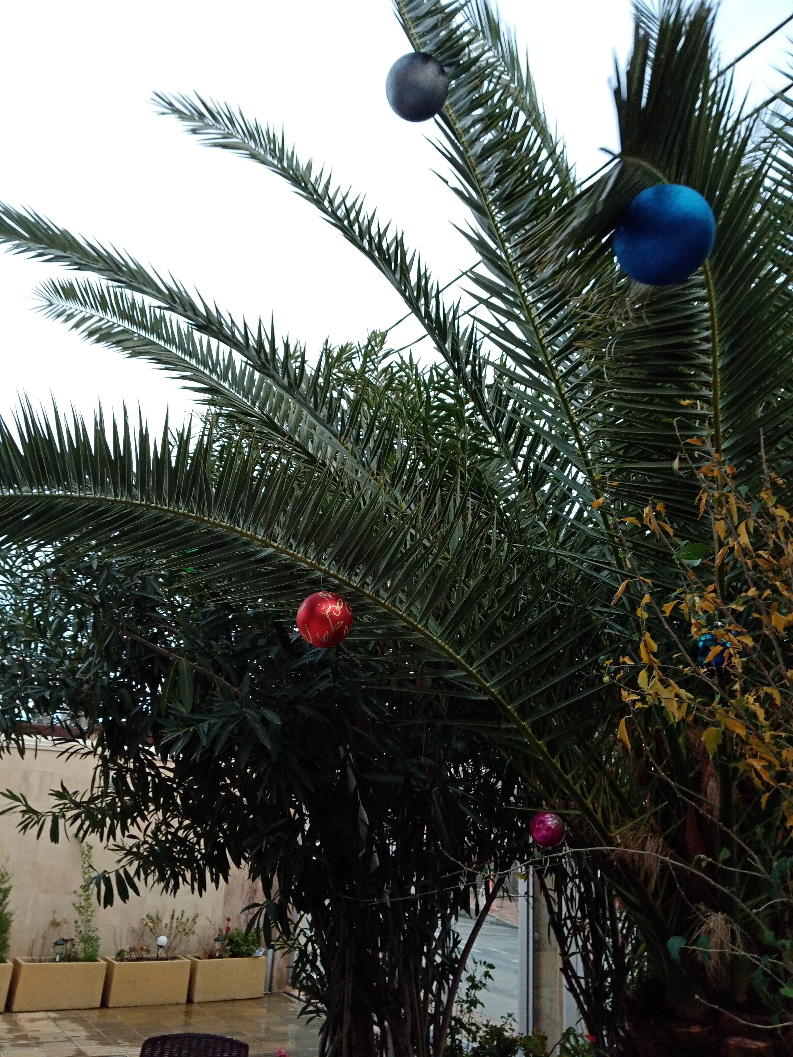 Фото Karap Palace