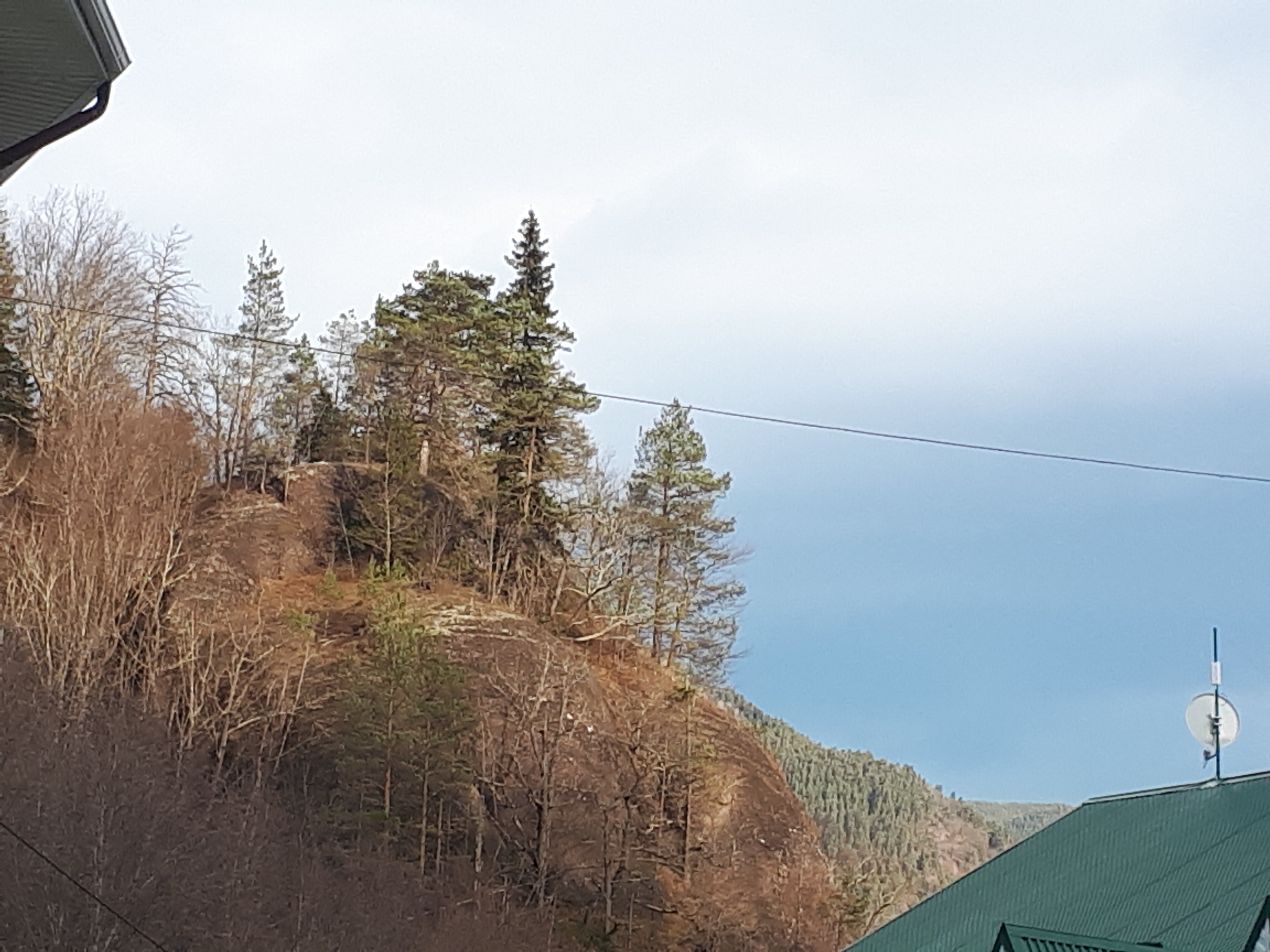 Фото Богатырь