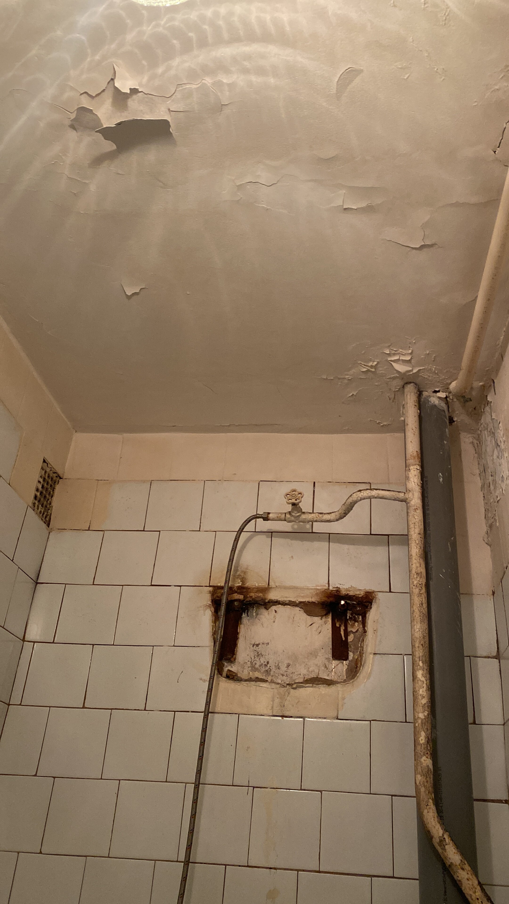 Фото Металлург