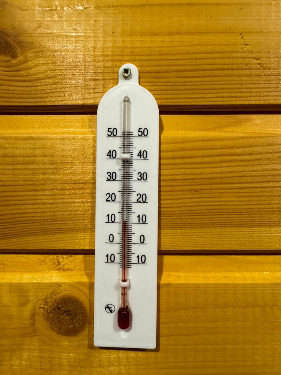 Фото Мотель Пушной