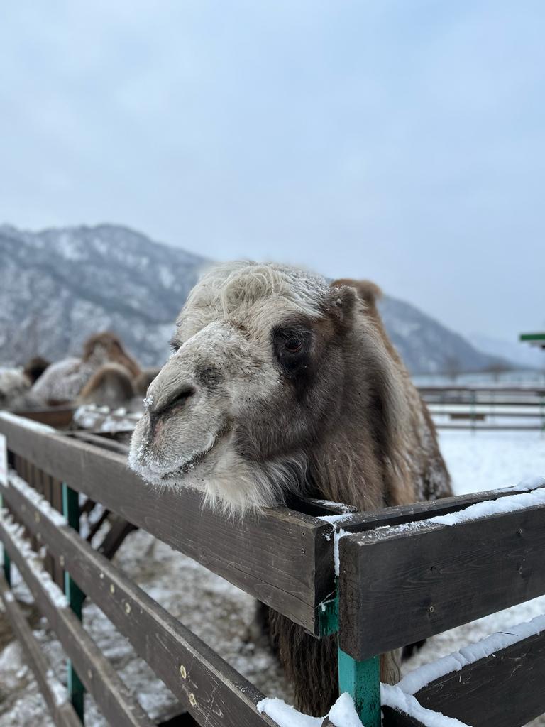 Фото Дом у реки