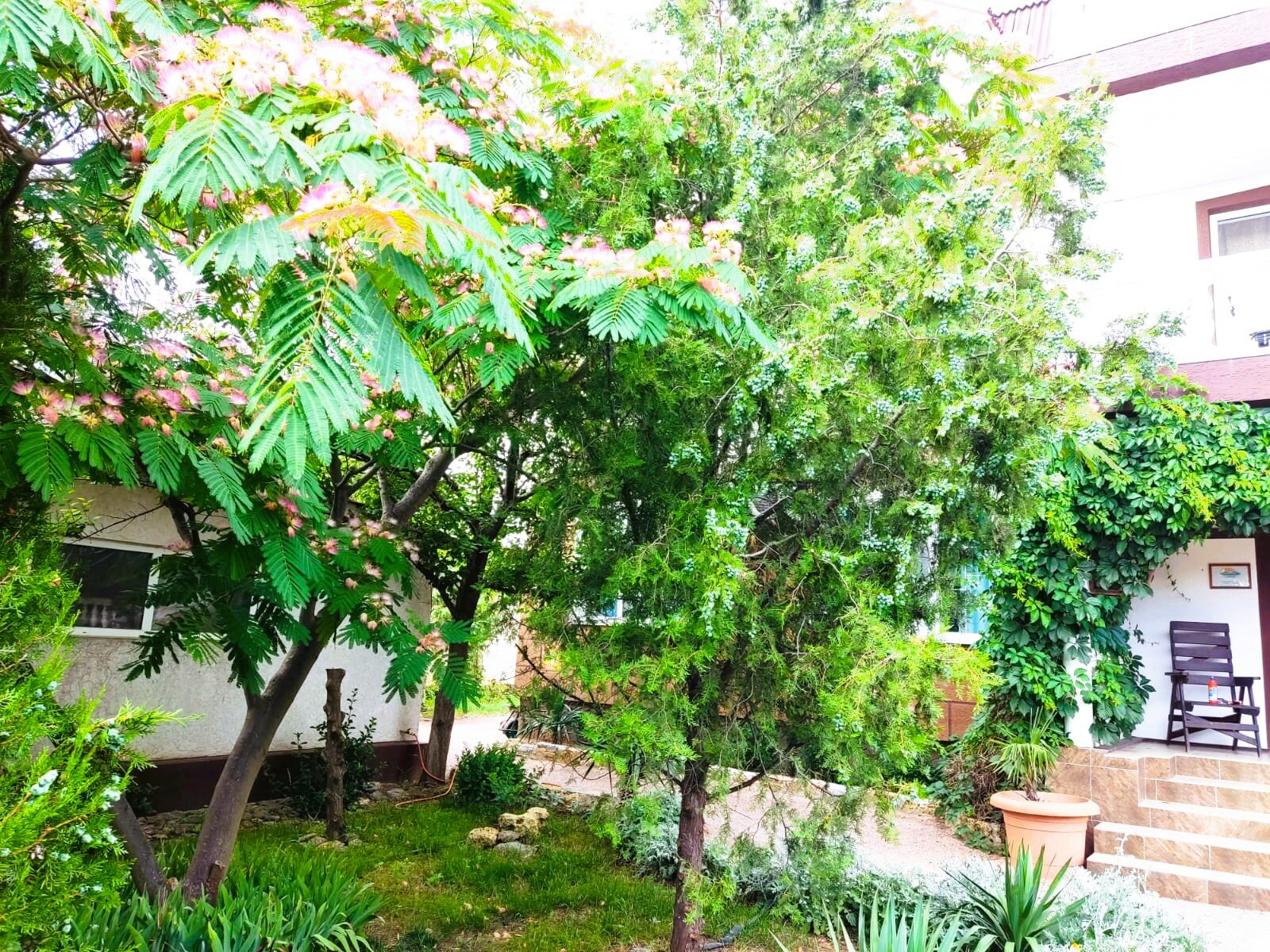 Фото АтлантикА