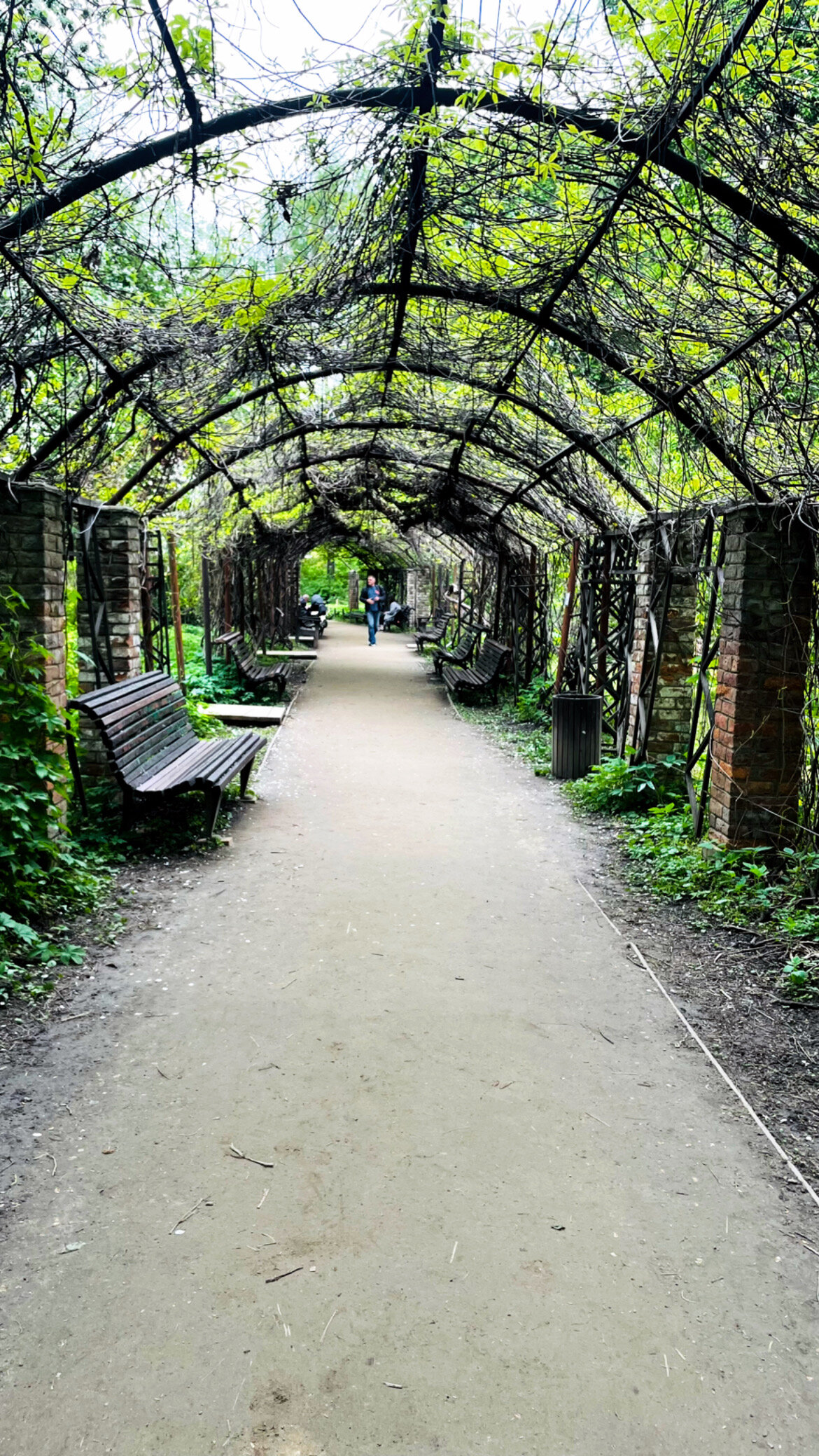 Фото Garden Embassy