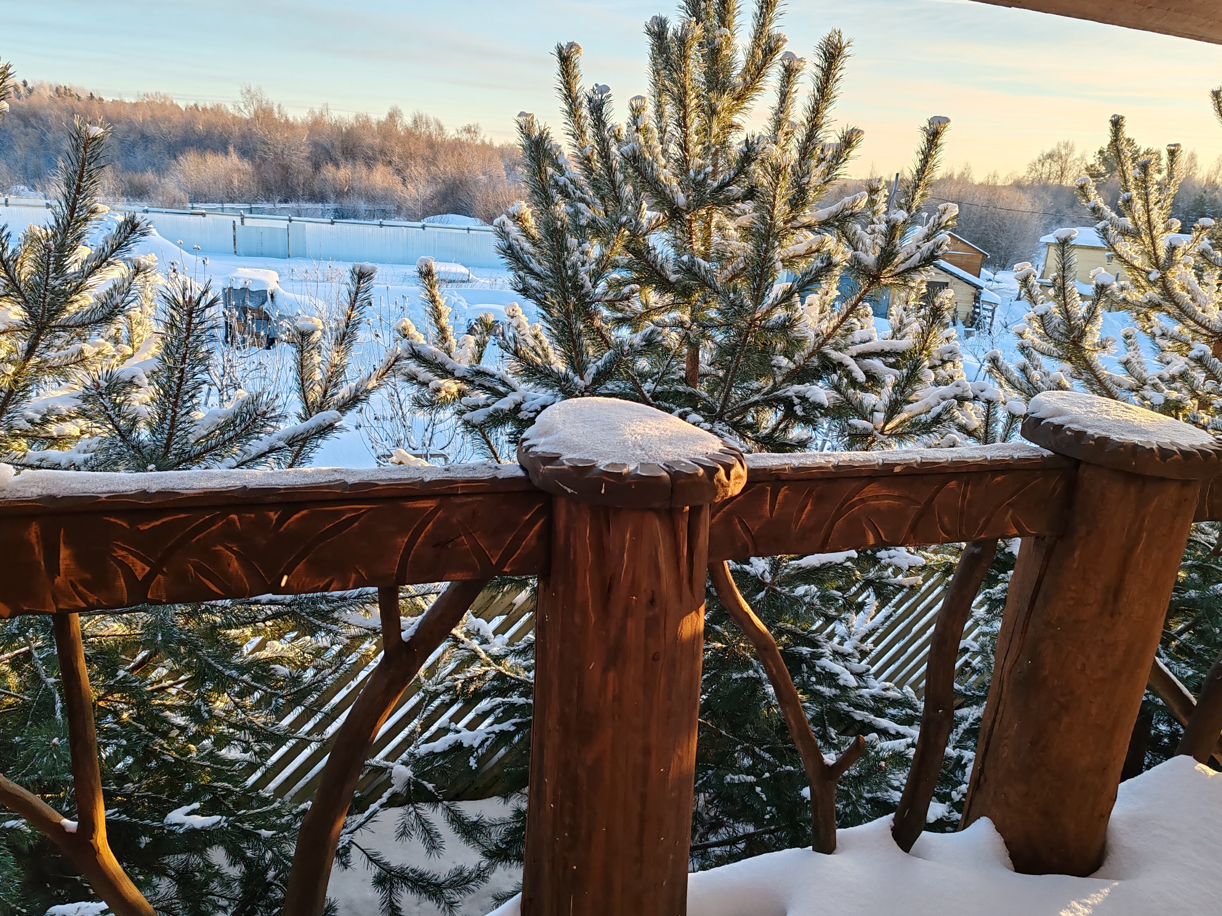 Фото Медовое ранчо