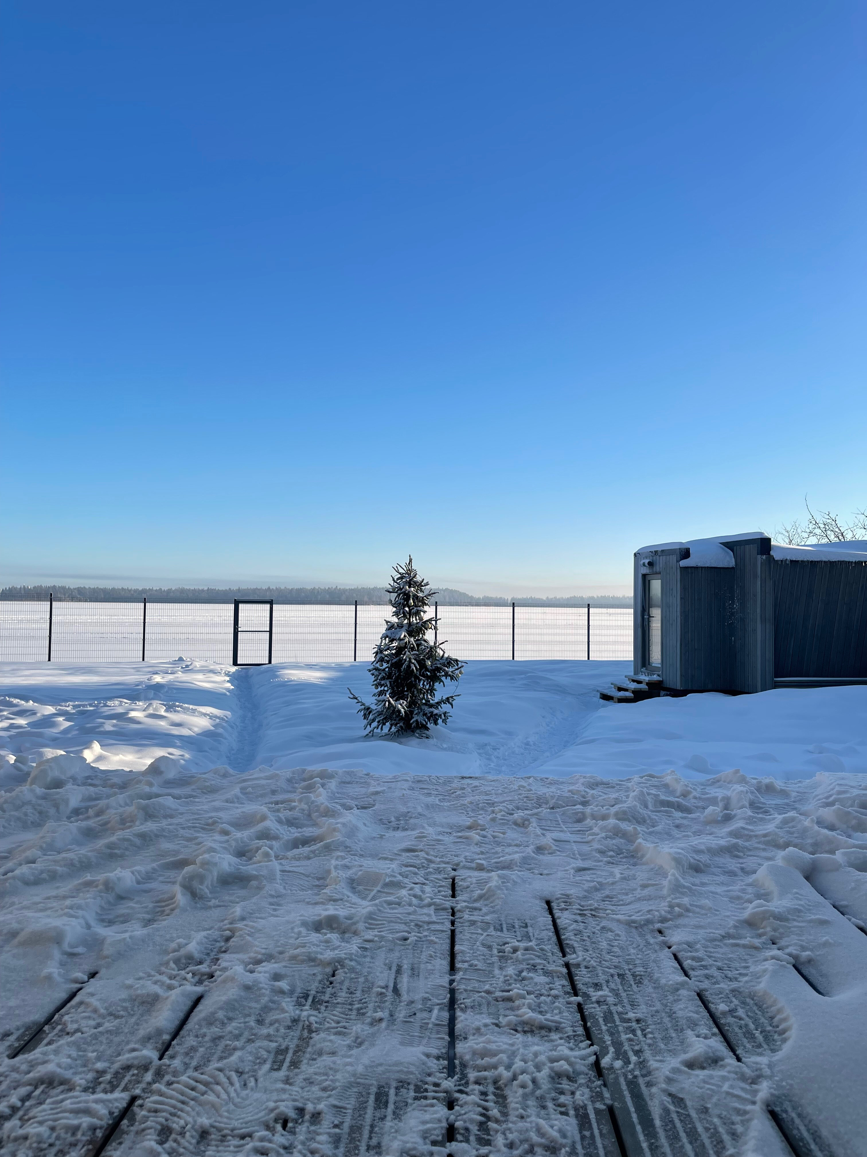 Фото Белый кролик