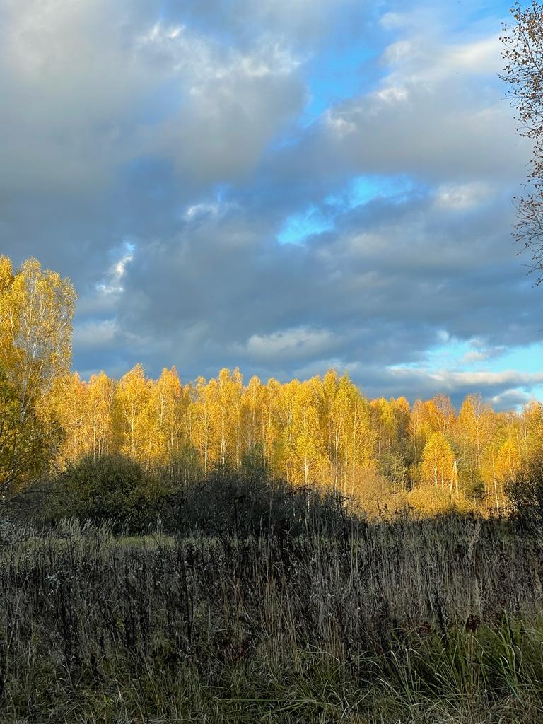 Фото Любимый в Любаново