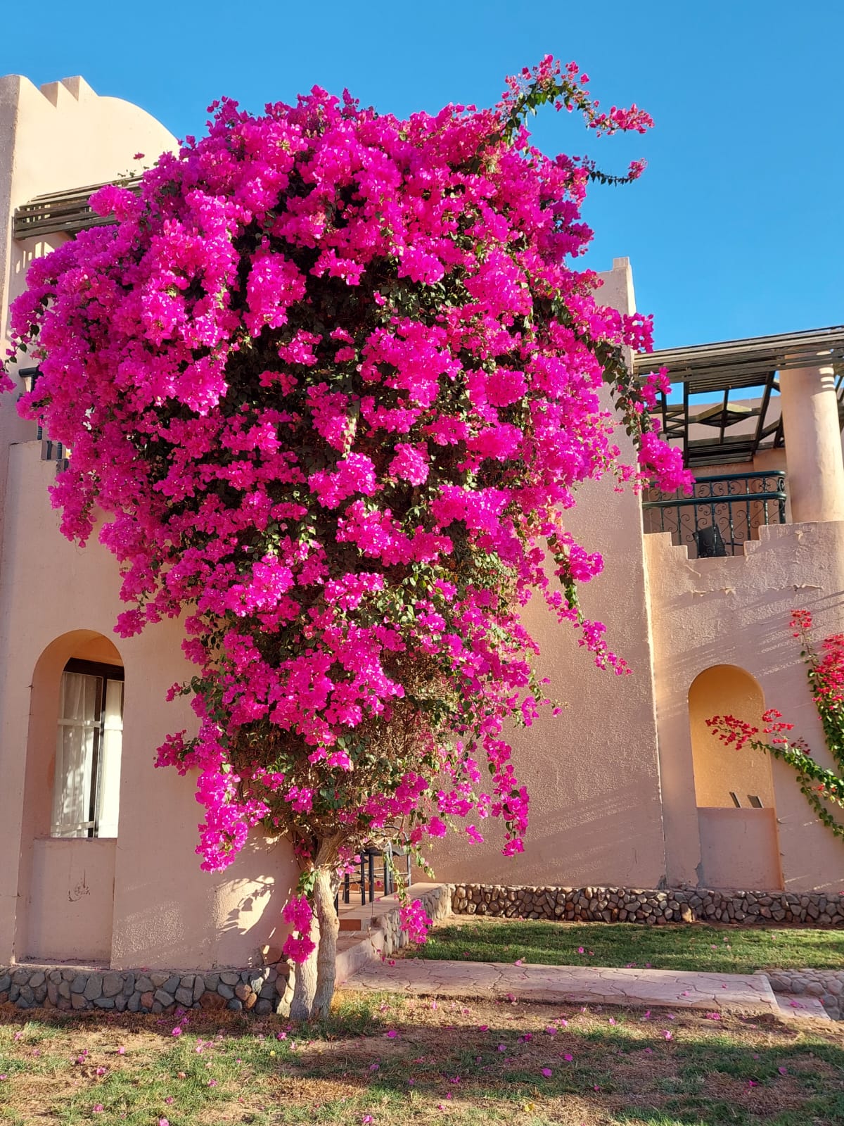 Фото Ali Baba Palace