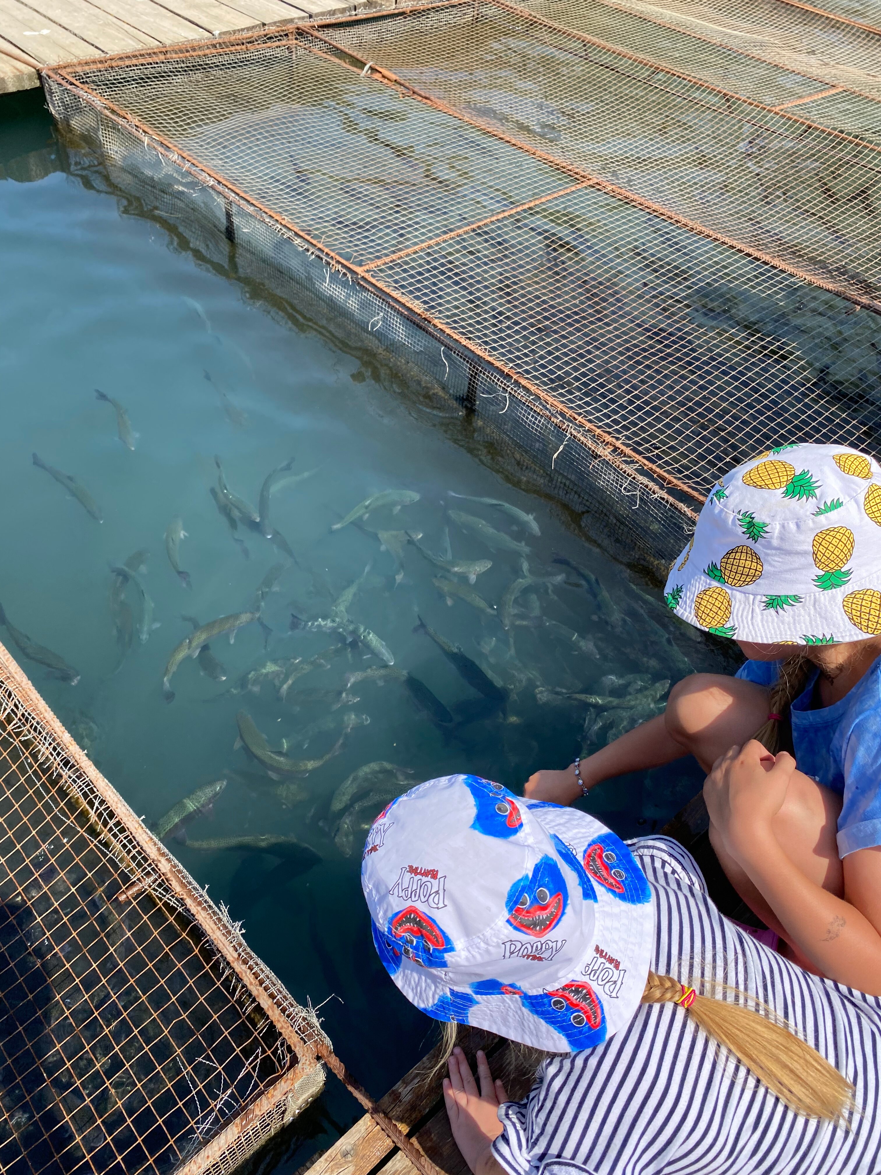 Фото КФХ Родник