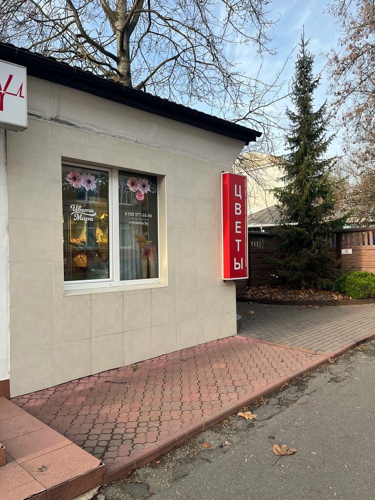 Flower shop Flowers of the world, Minsk, photo