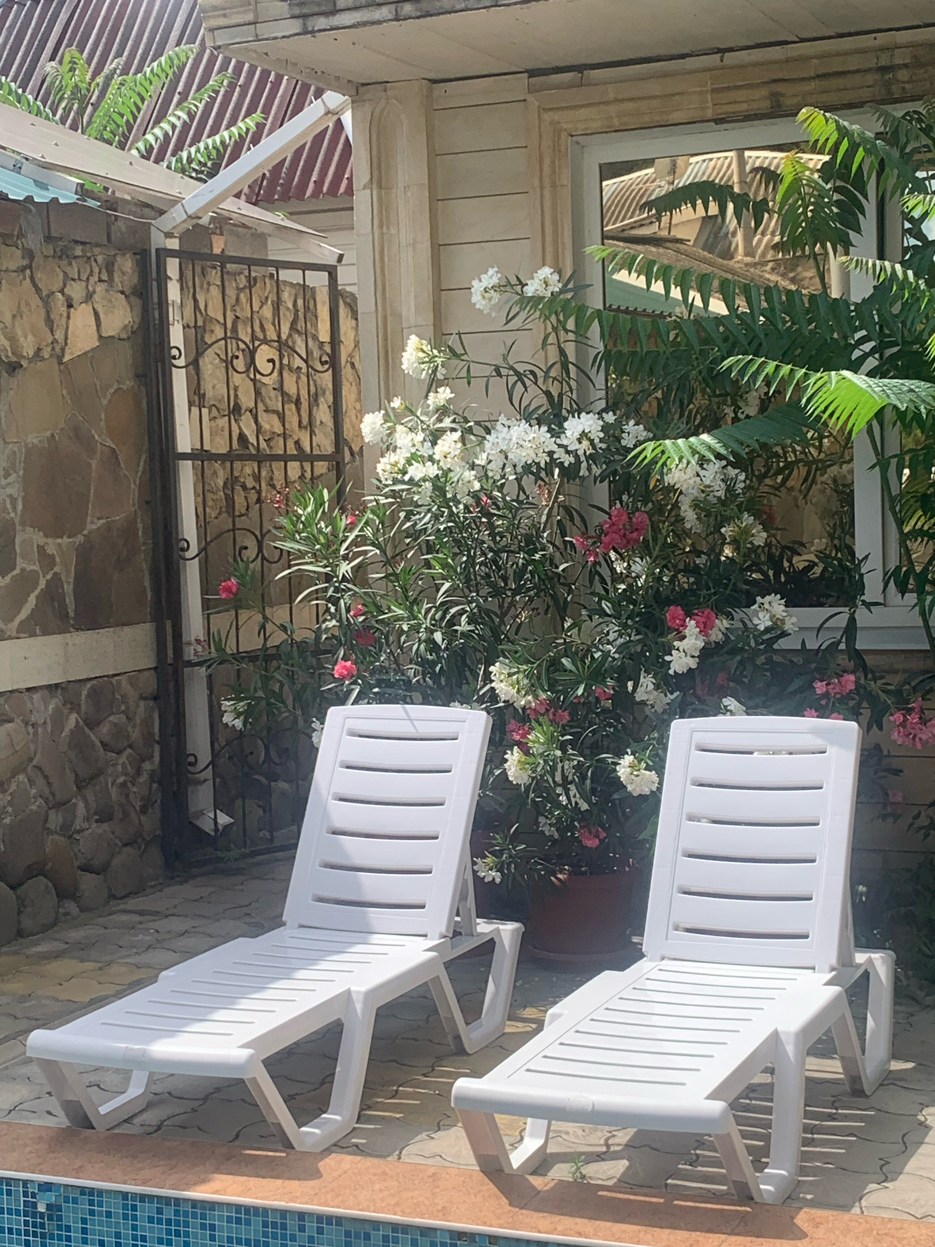 Фото Атриум