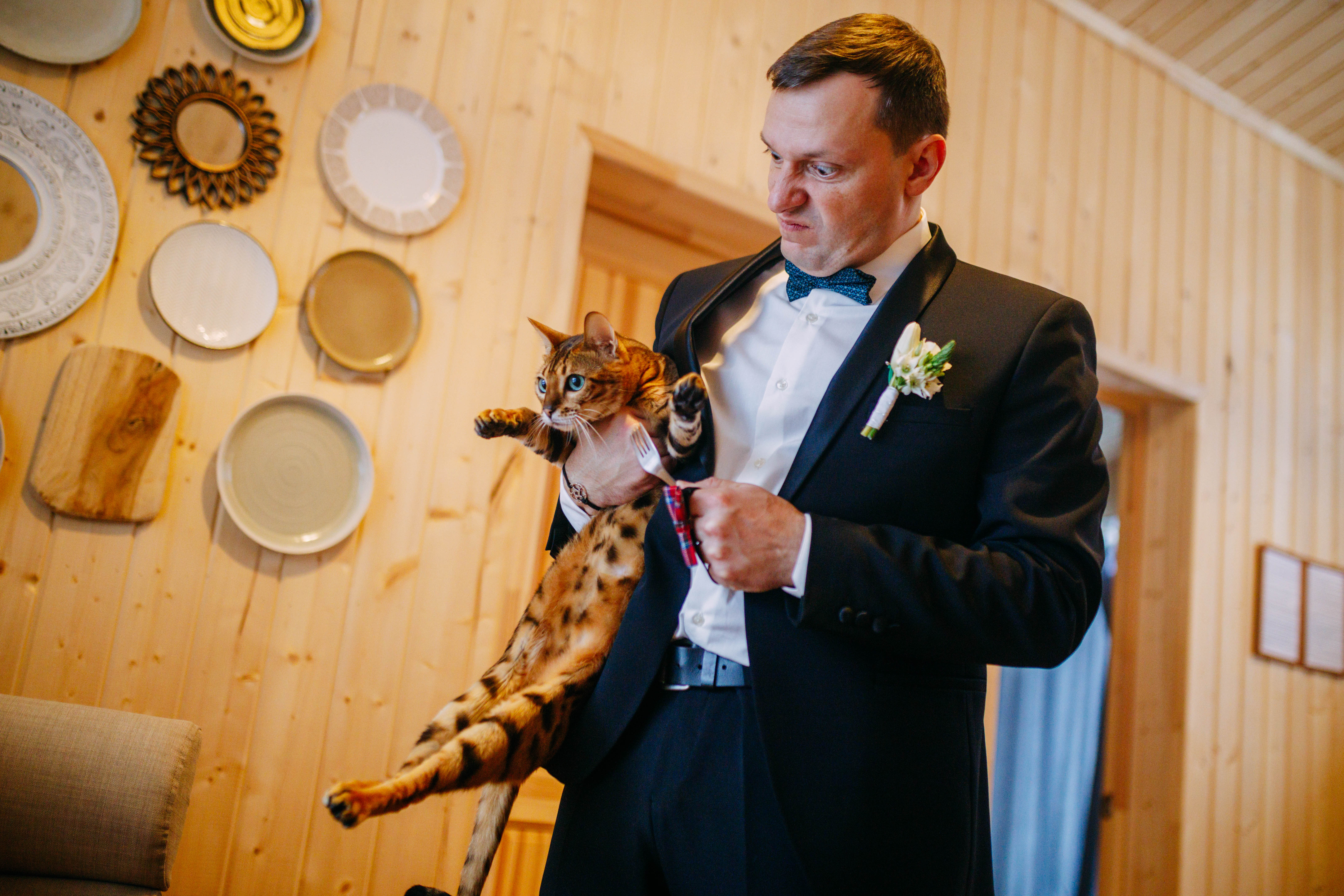 Фото Ладога Хоум - на берегу озера