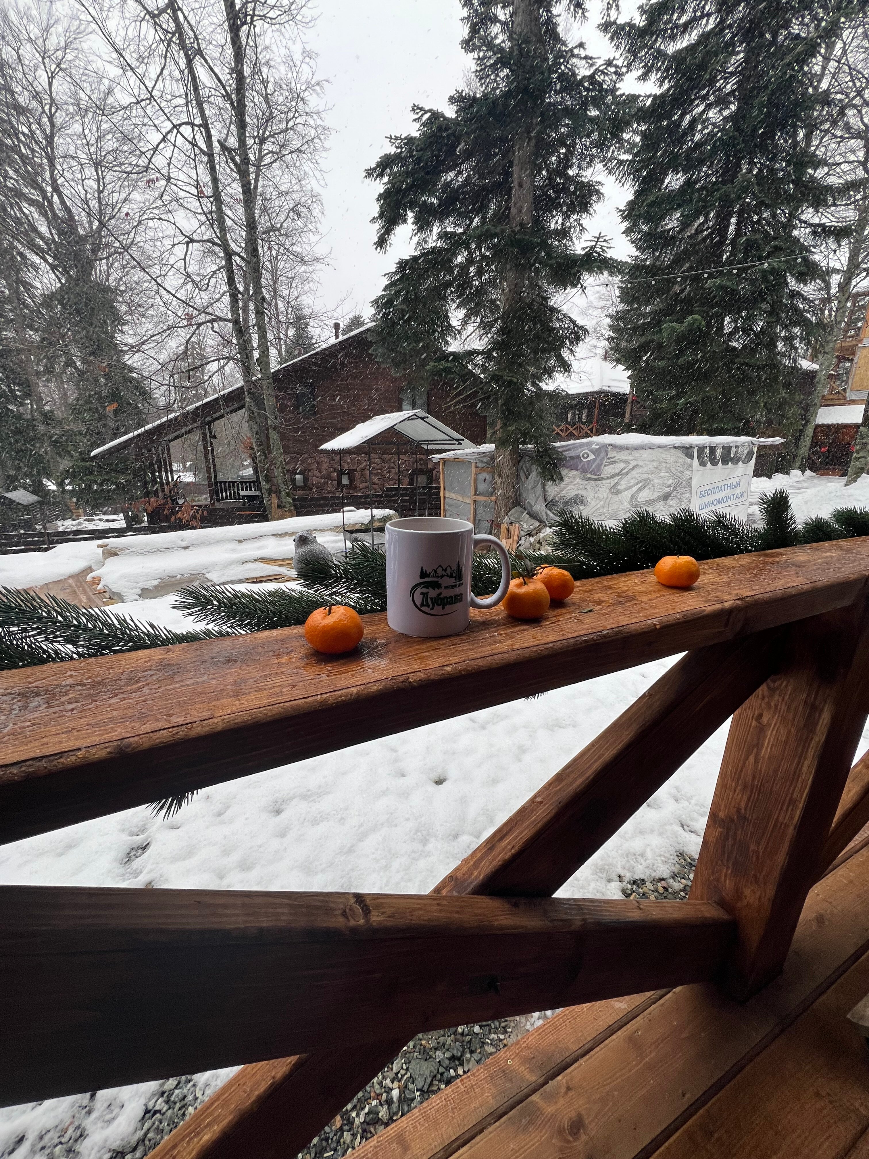 Фото Дубрава