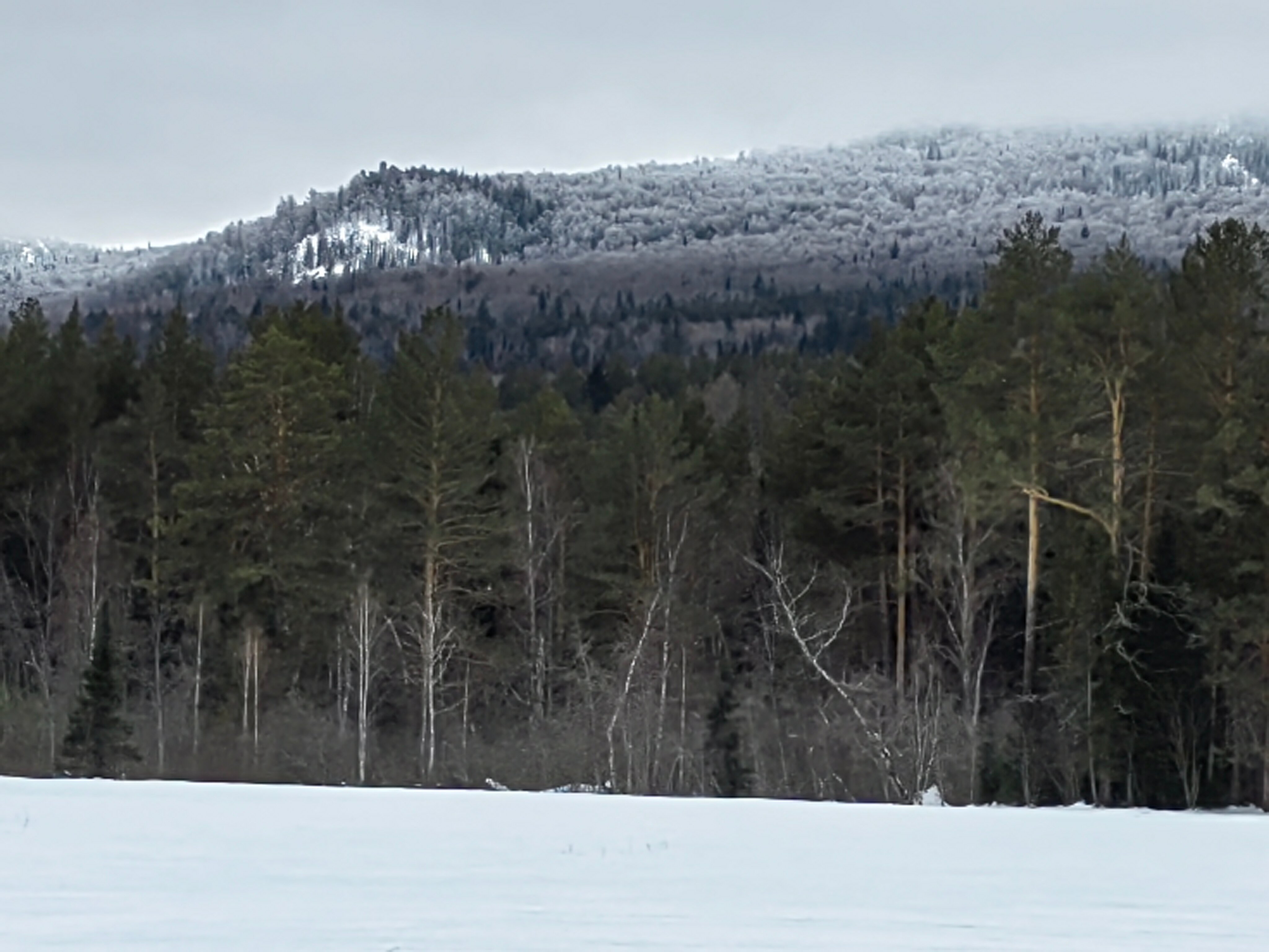 Фото Парк Малидак