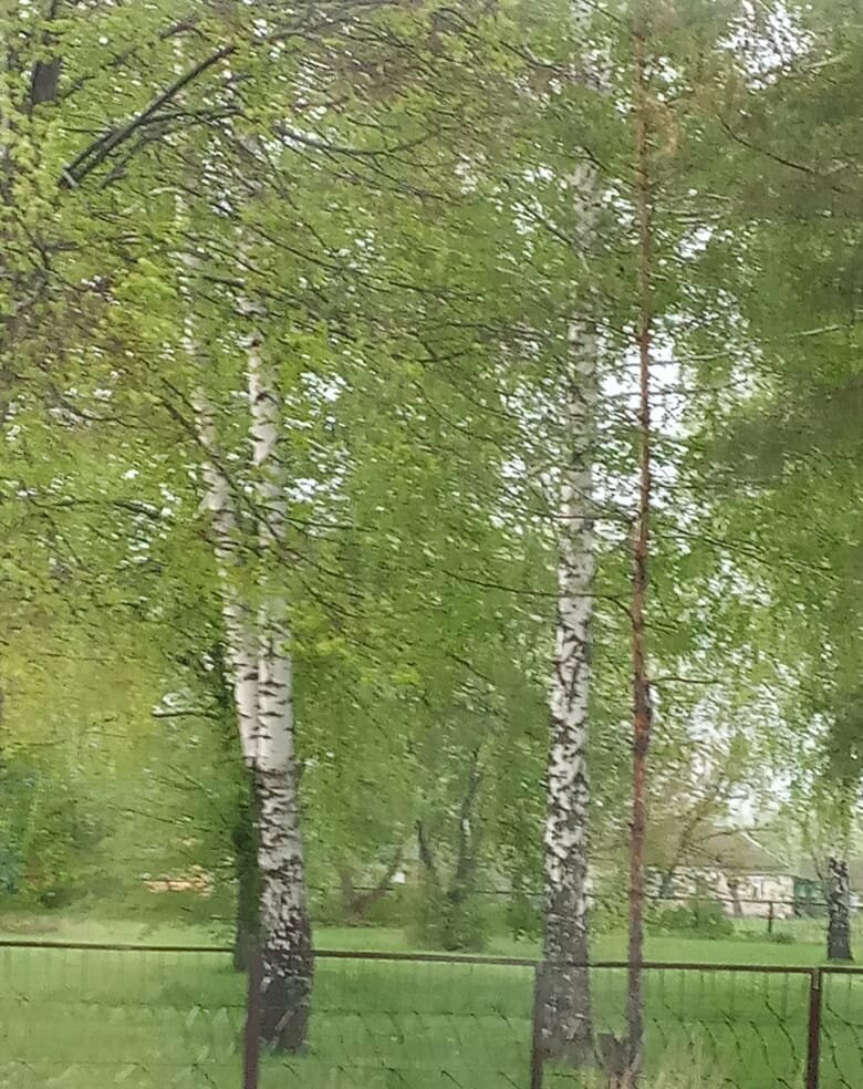 Parque de cultura y ocio Вислополянский парк культуры и отдыха, , foto