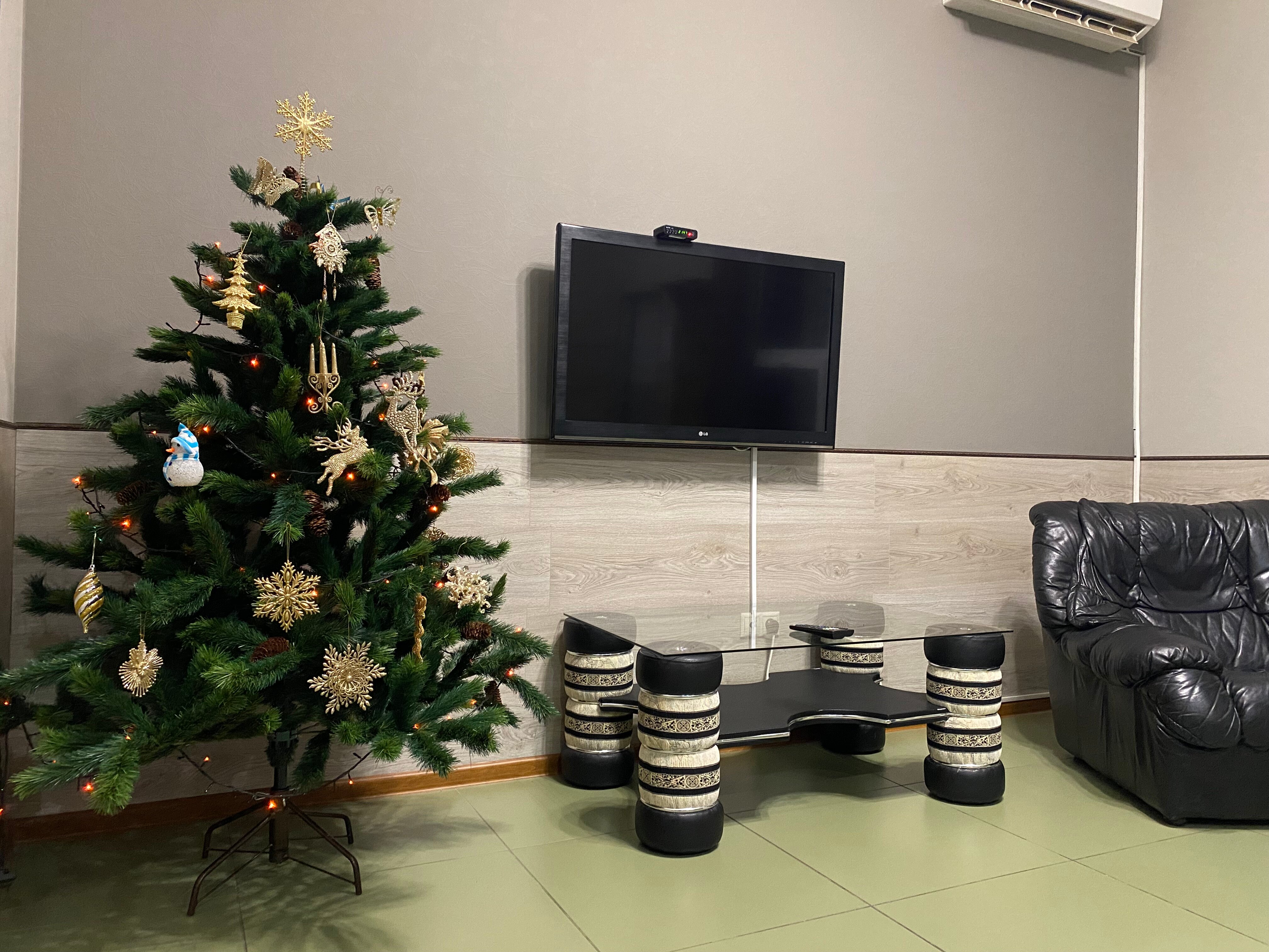 Фото Медвежий дом