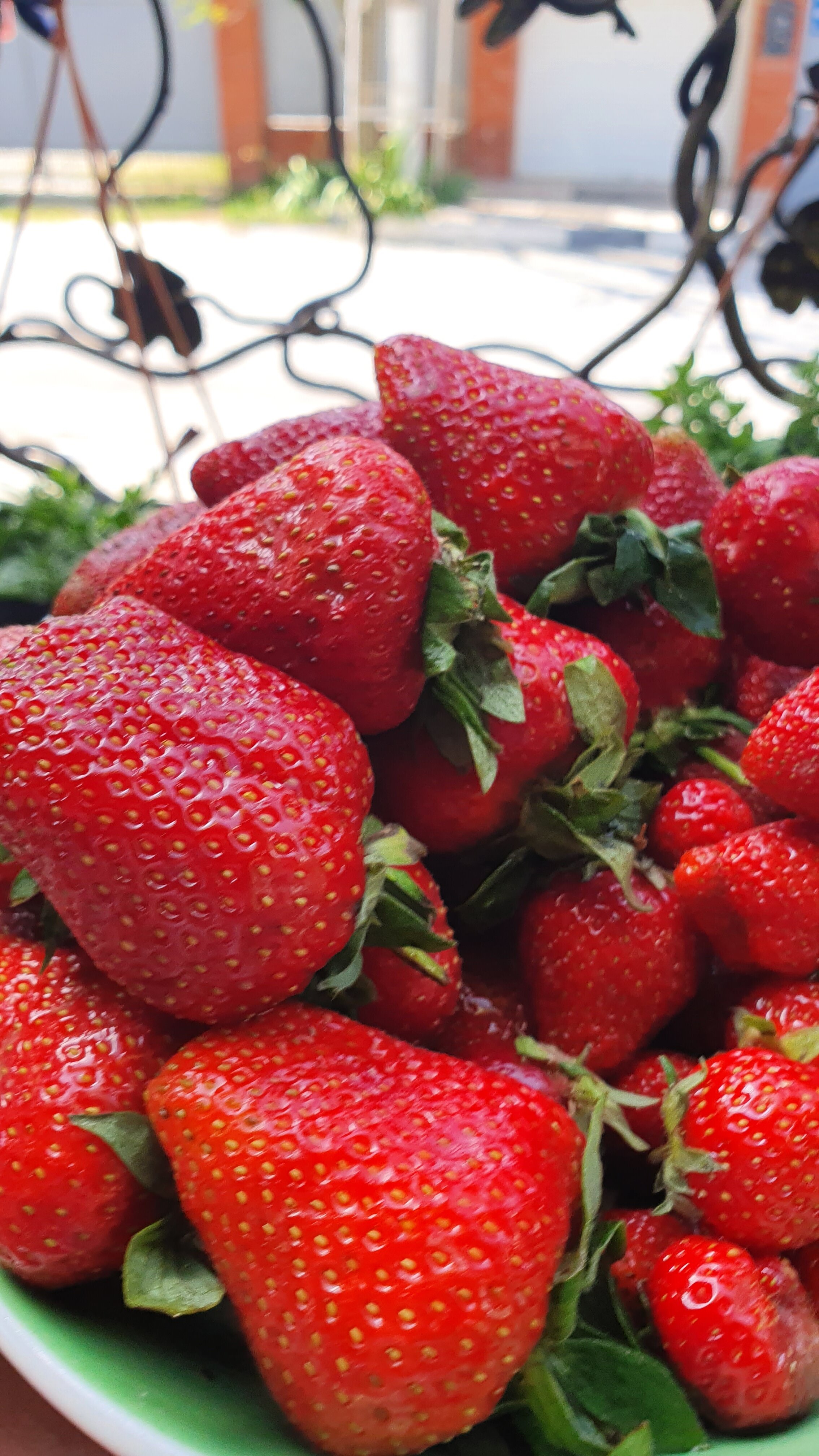 Фото Светлый