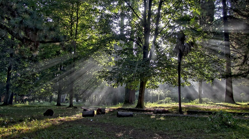 Фото Апартаменты Семейные в Агудзере