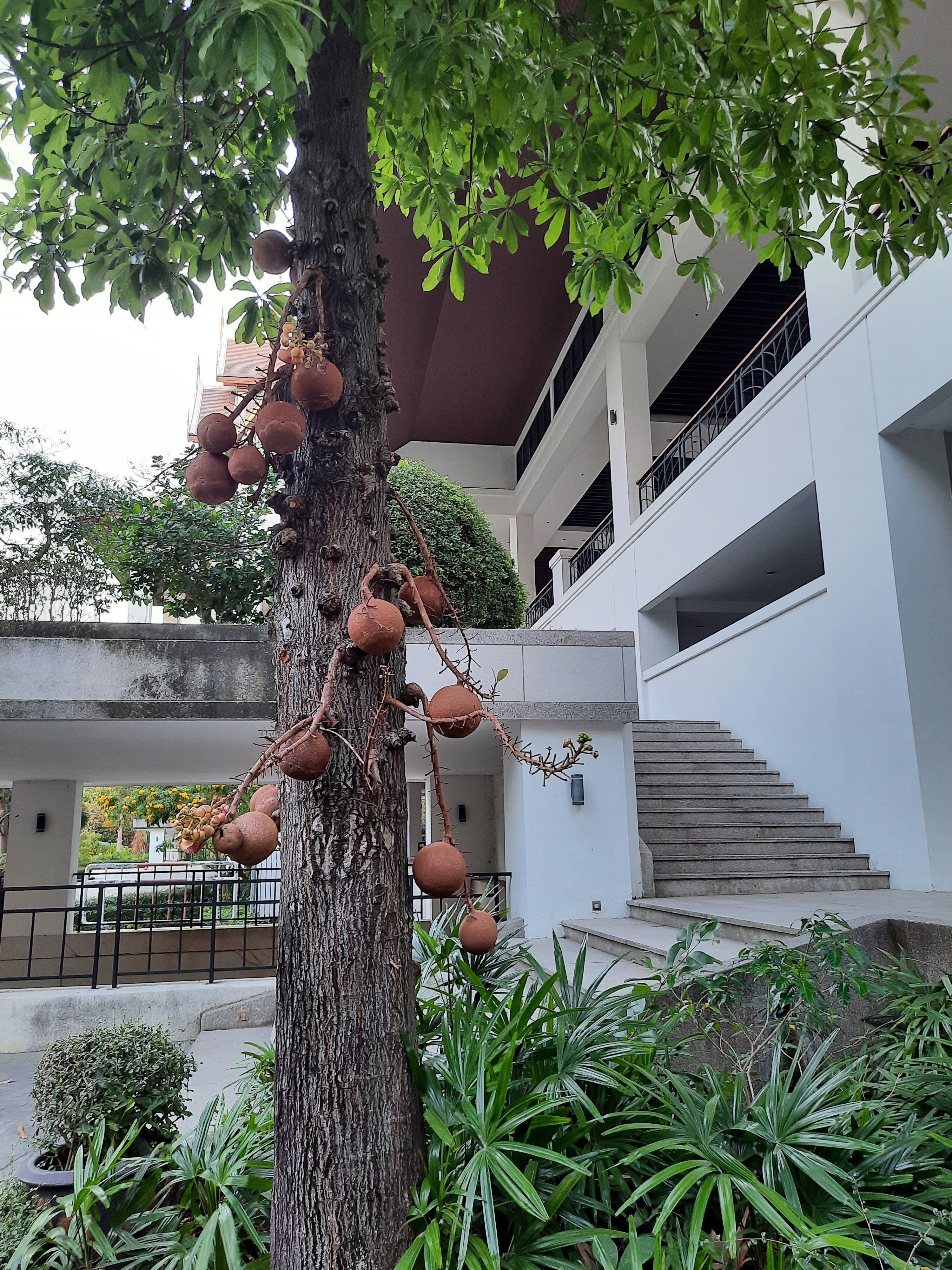 Фото The Heritage Pattaya Beach Resort