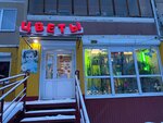 Jasmine (Kamyshinskaya Street, 21), flower shop