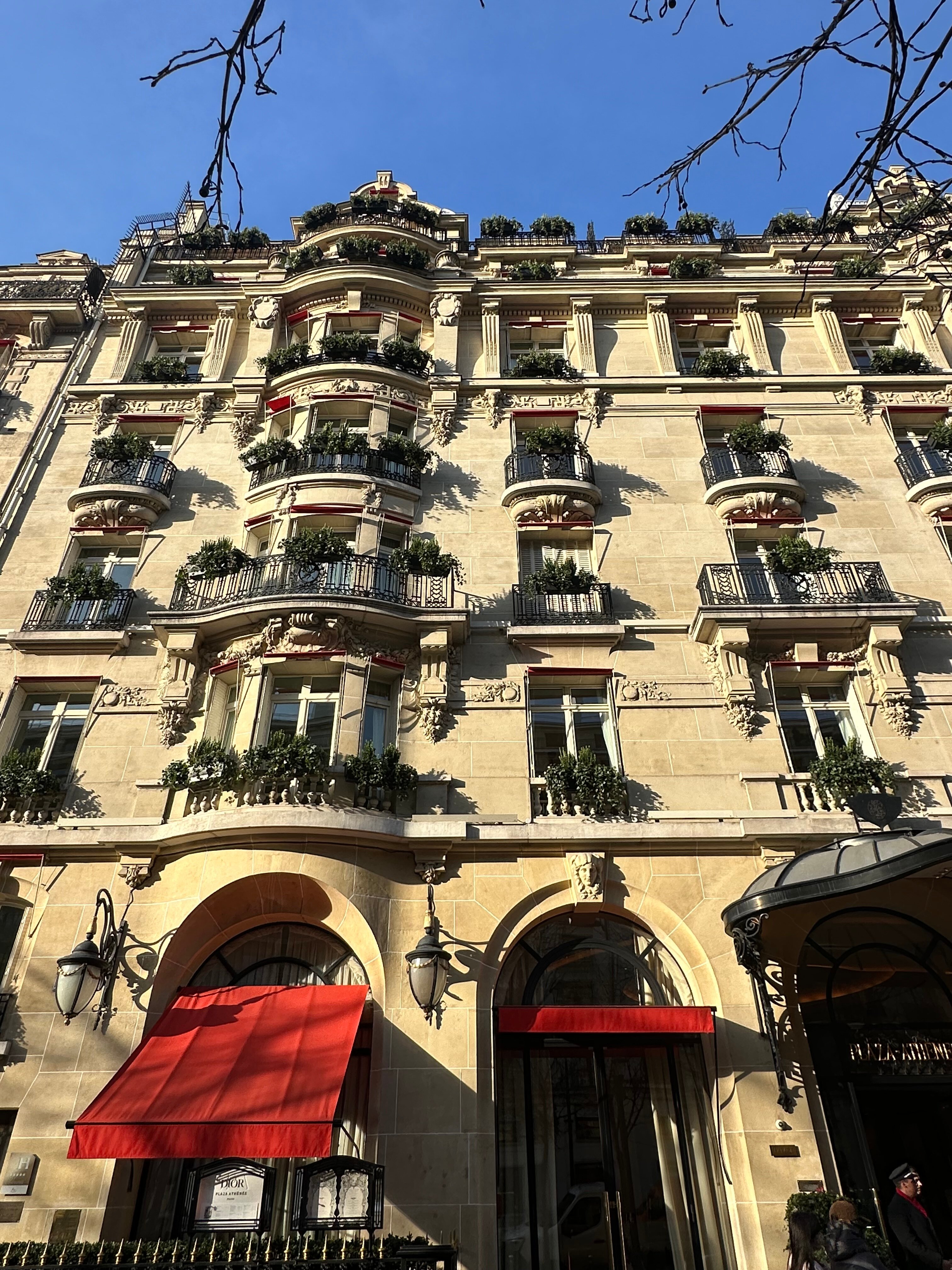 Фото Hotel Plaza Athenee