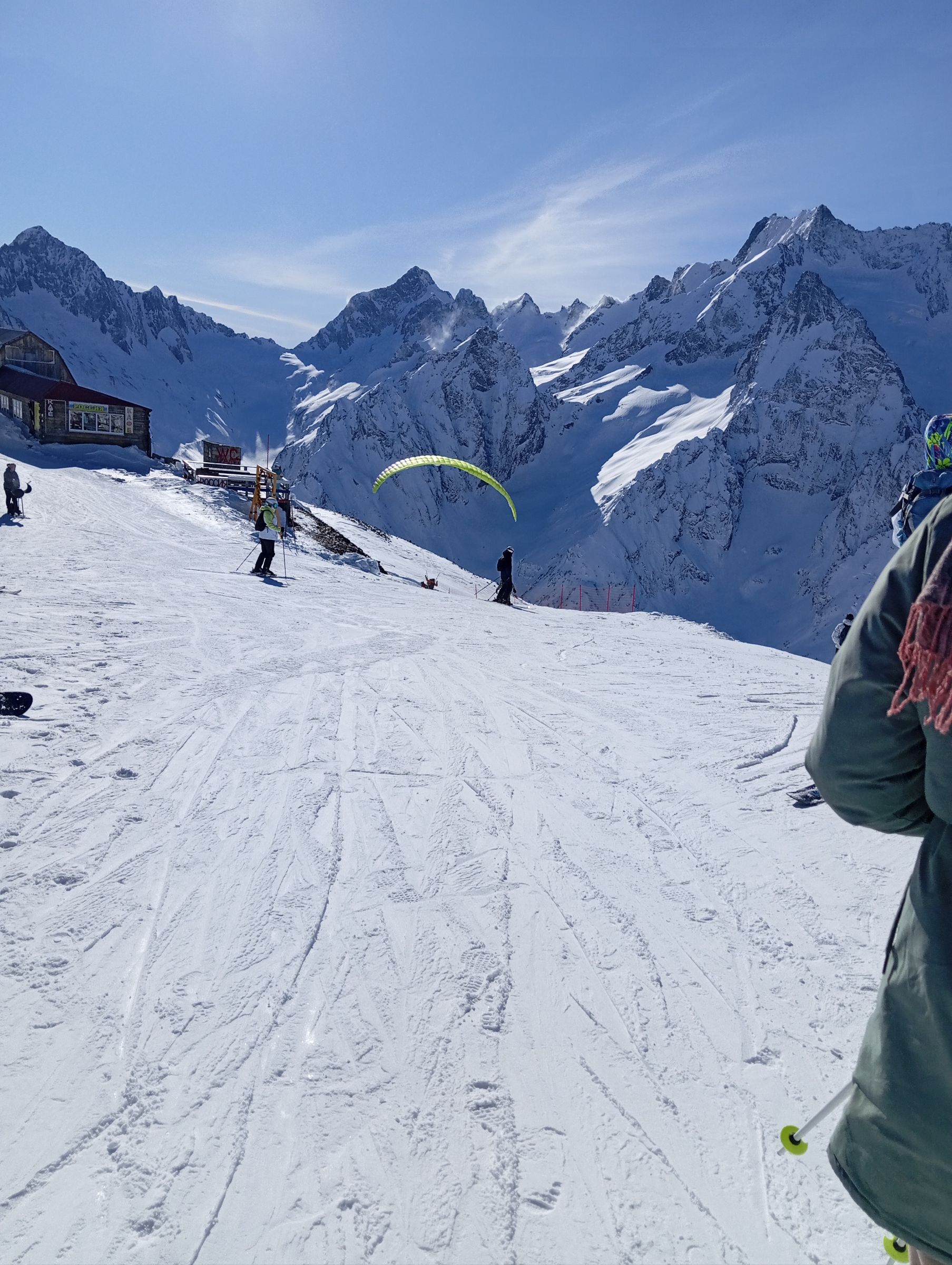 Фото Старый Клён