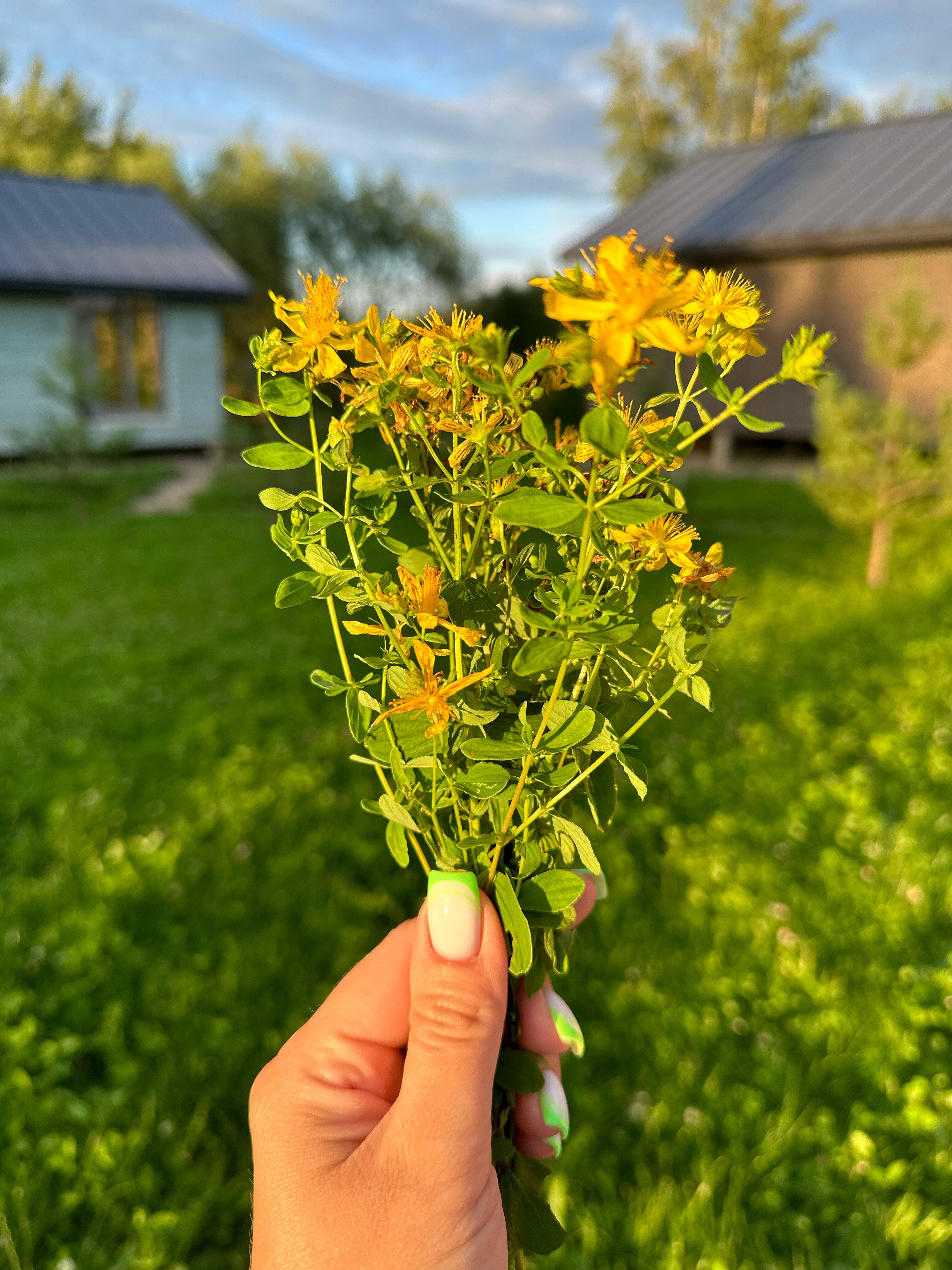 Фото Эко дача Берёза